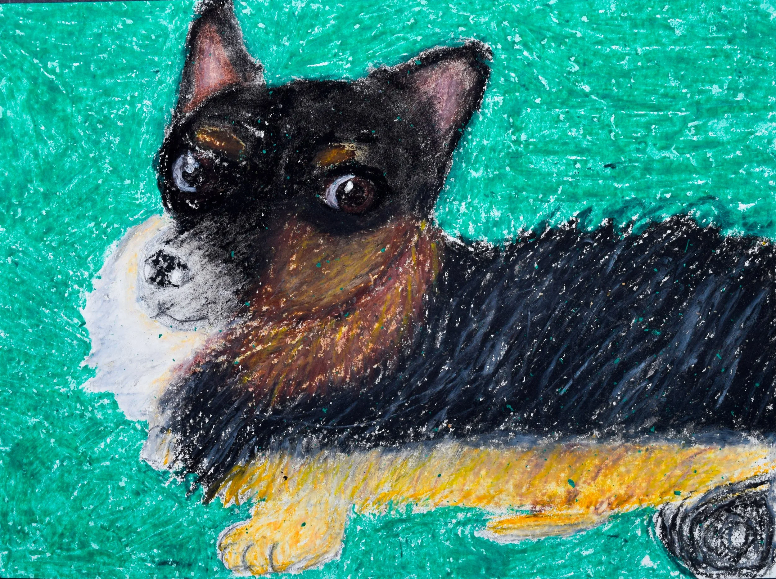 Daniel A Citrano-2.jpg