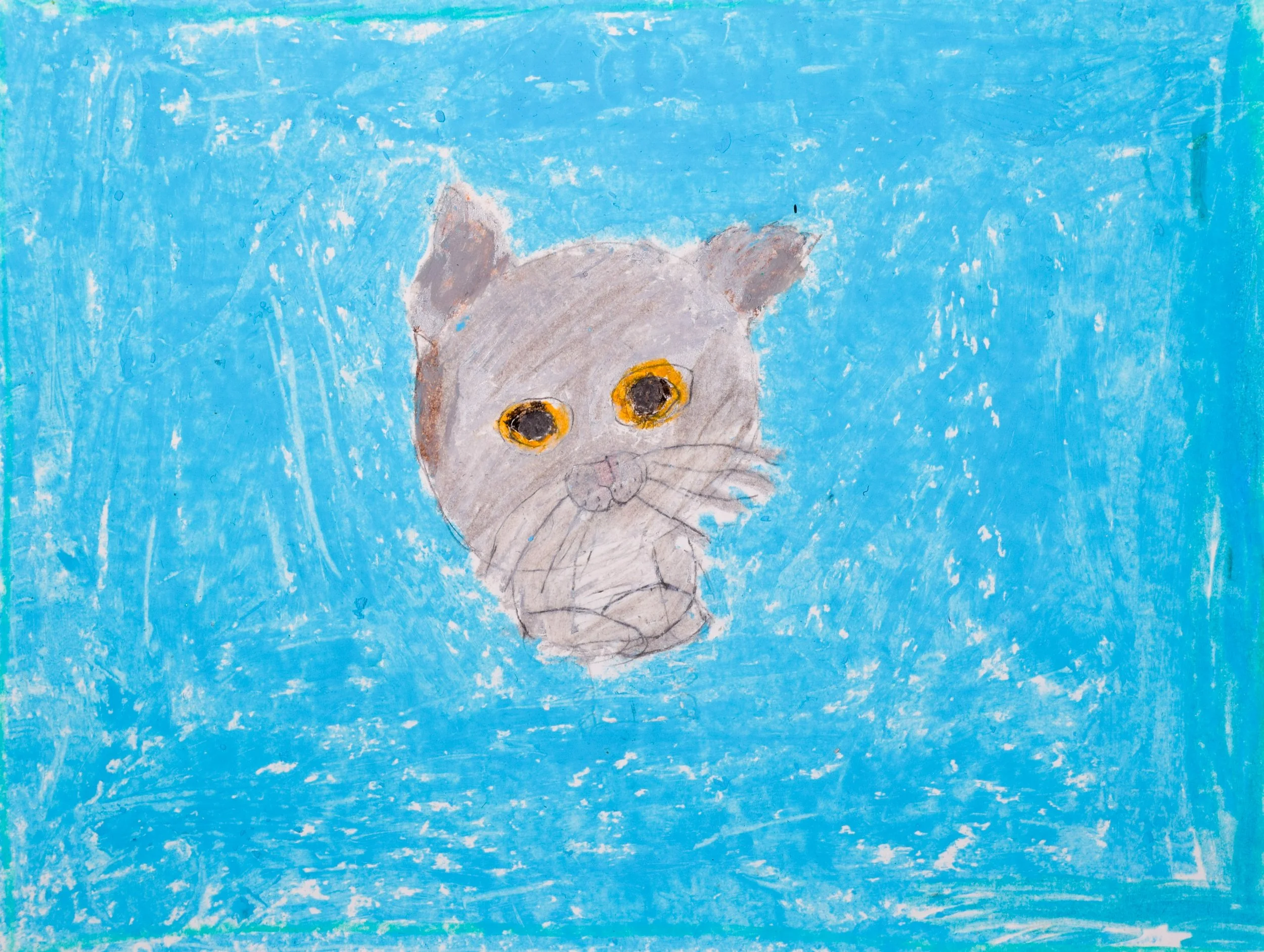 Connor A Boyle-2.jpg