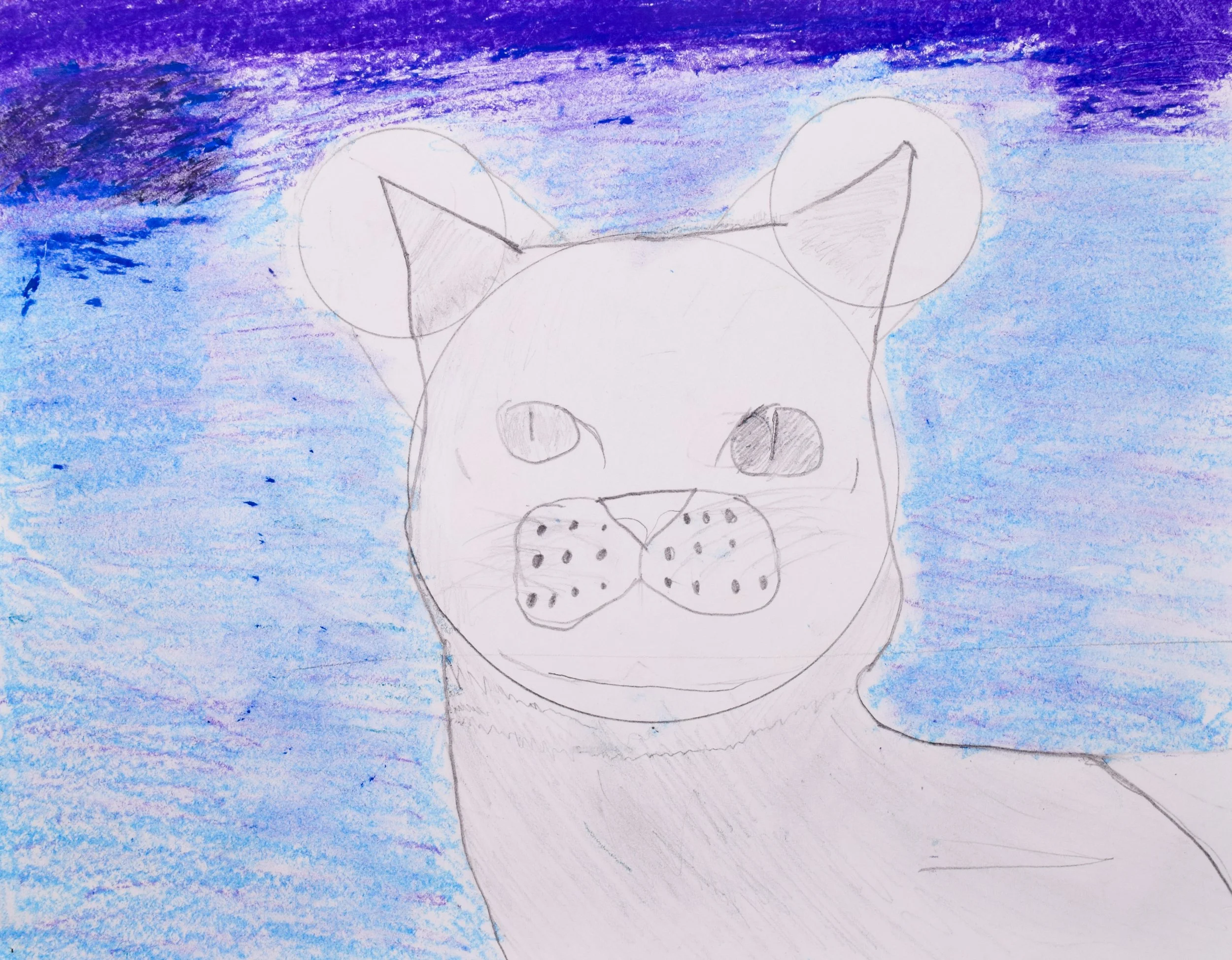 Hayden P Momenzadeh-2.jpg