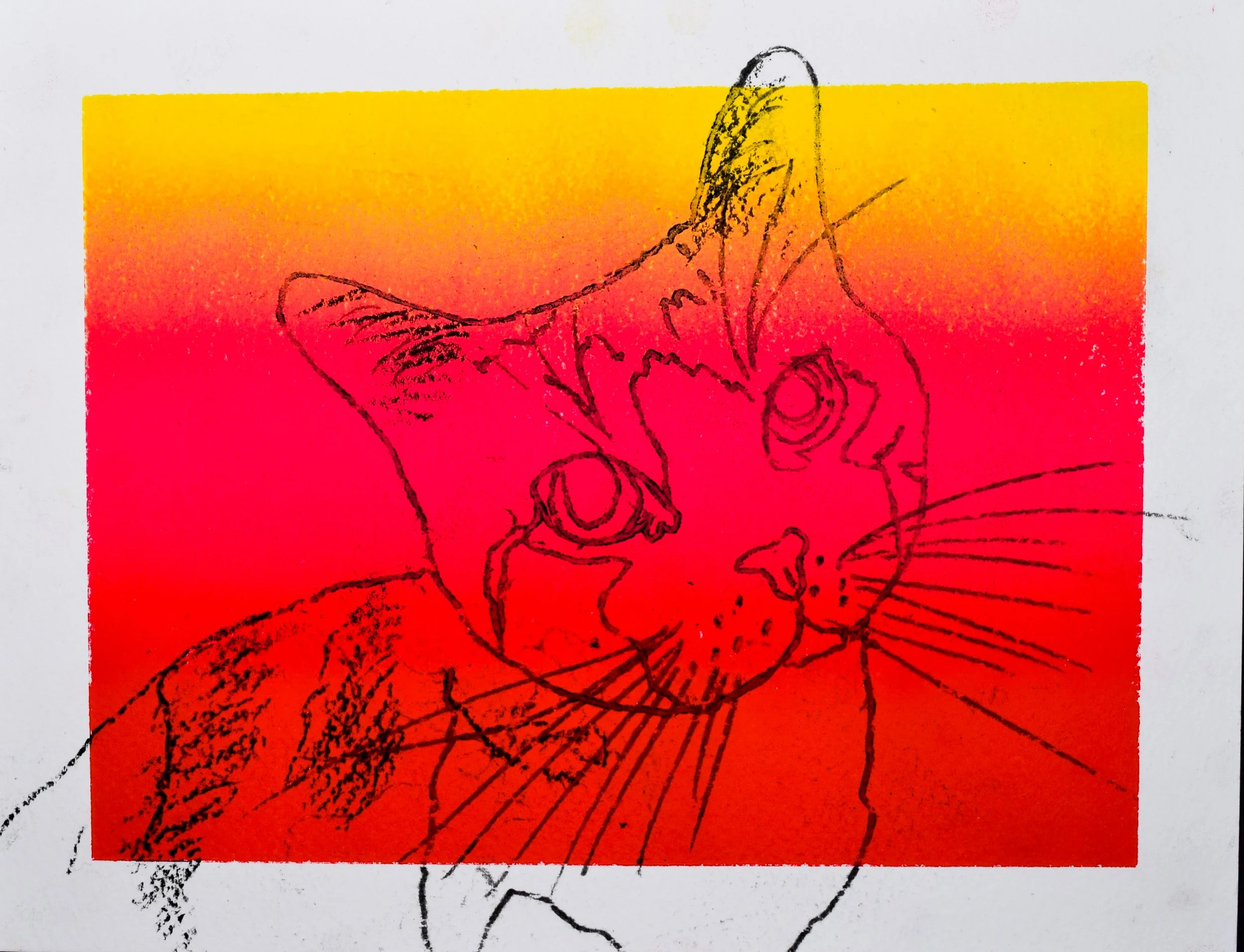 Katelyn Paszkiewicz (Teacher)