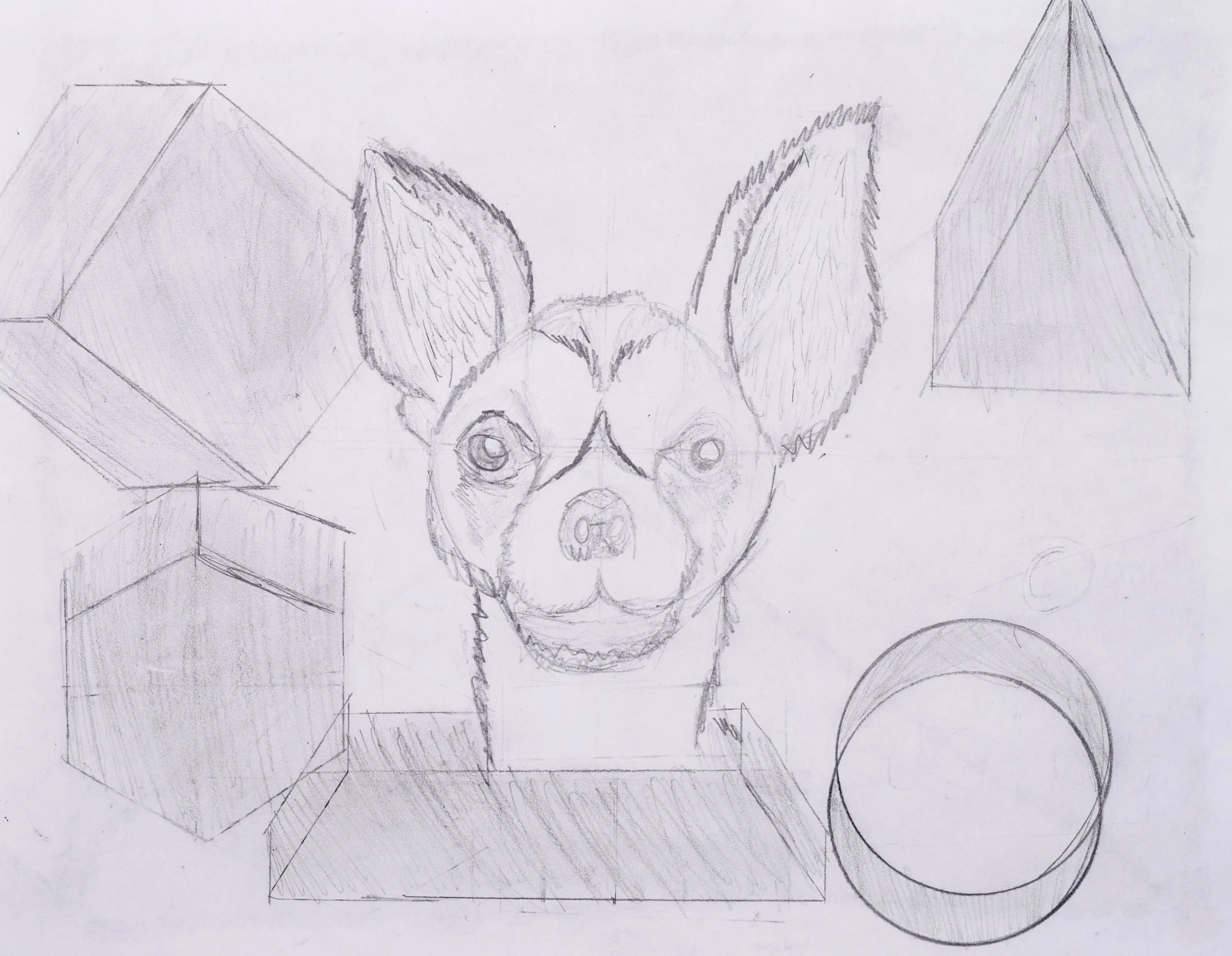 Rio B 2 Simpson-2.jpg