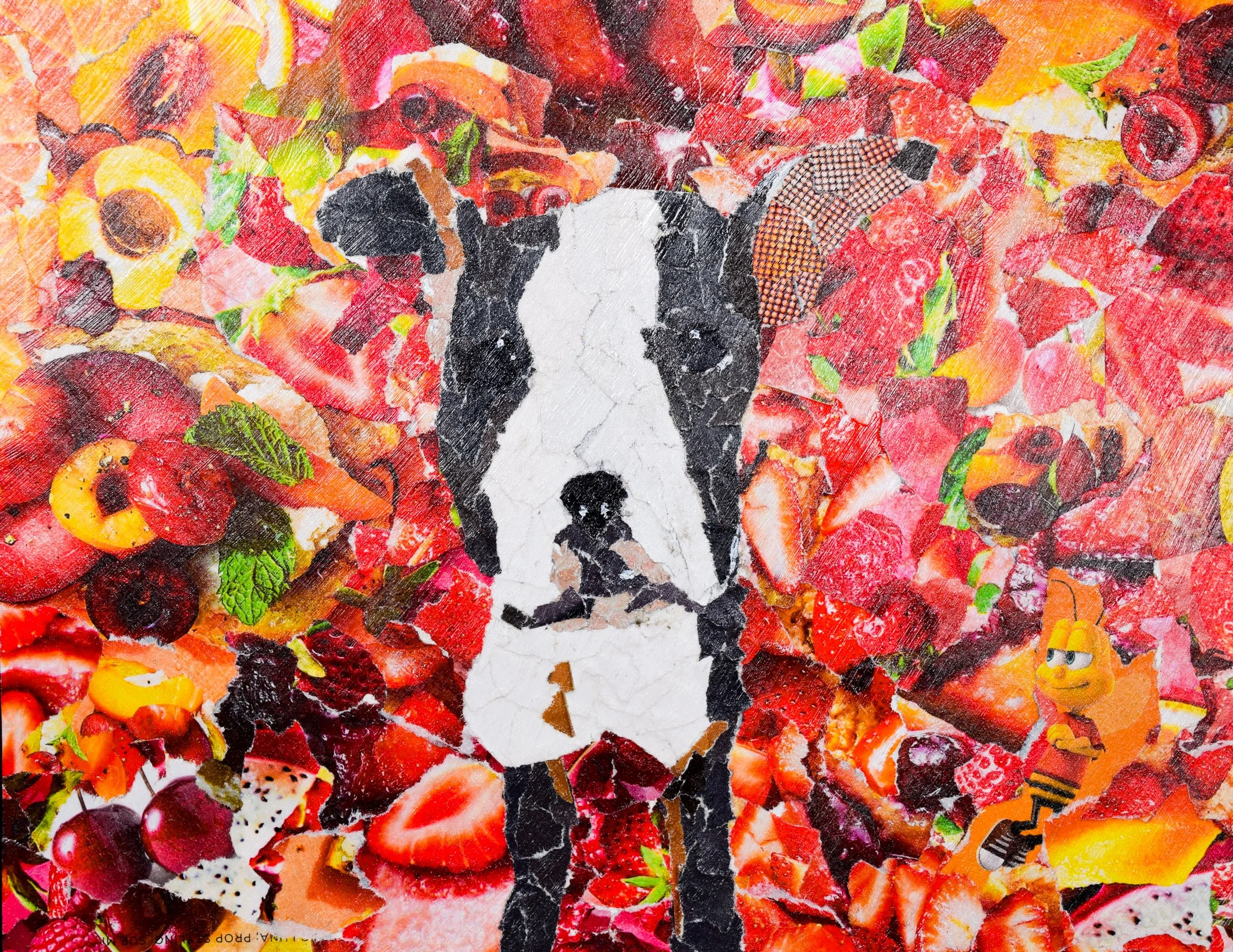 Elle P Schappel-2.jpg