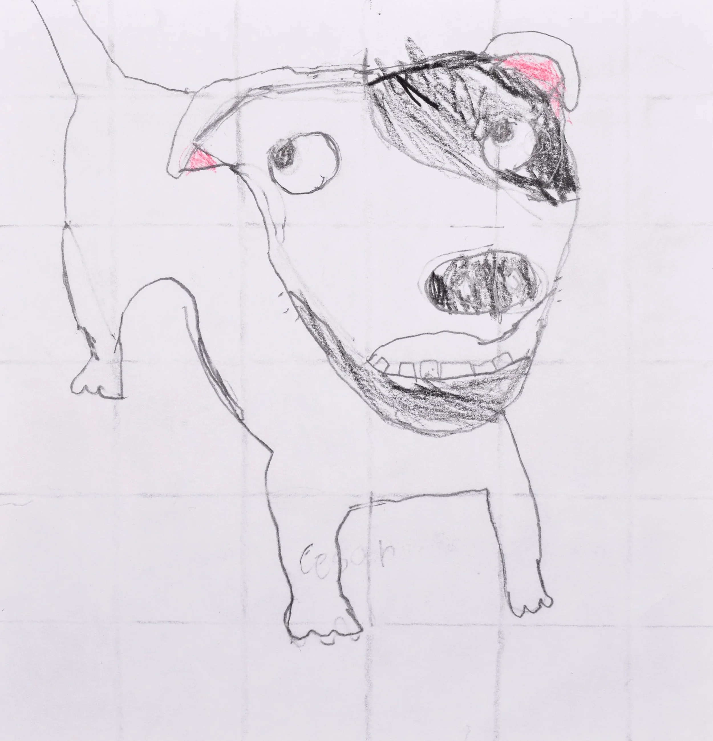 Cesar J.L. Dowell, Nehus-2.jpg