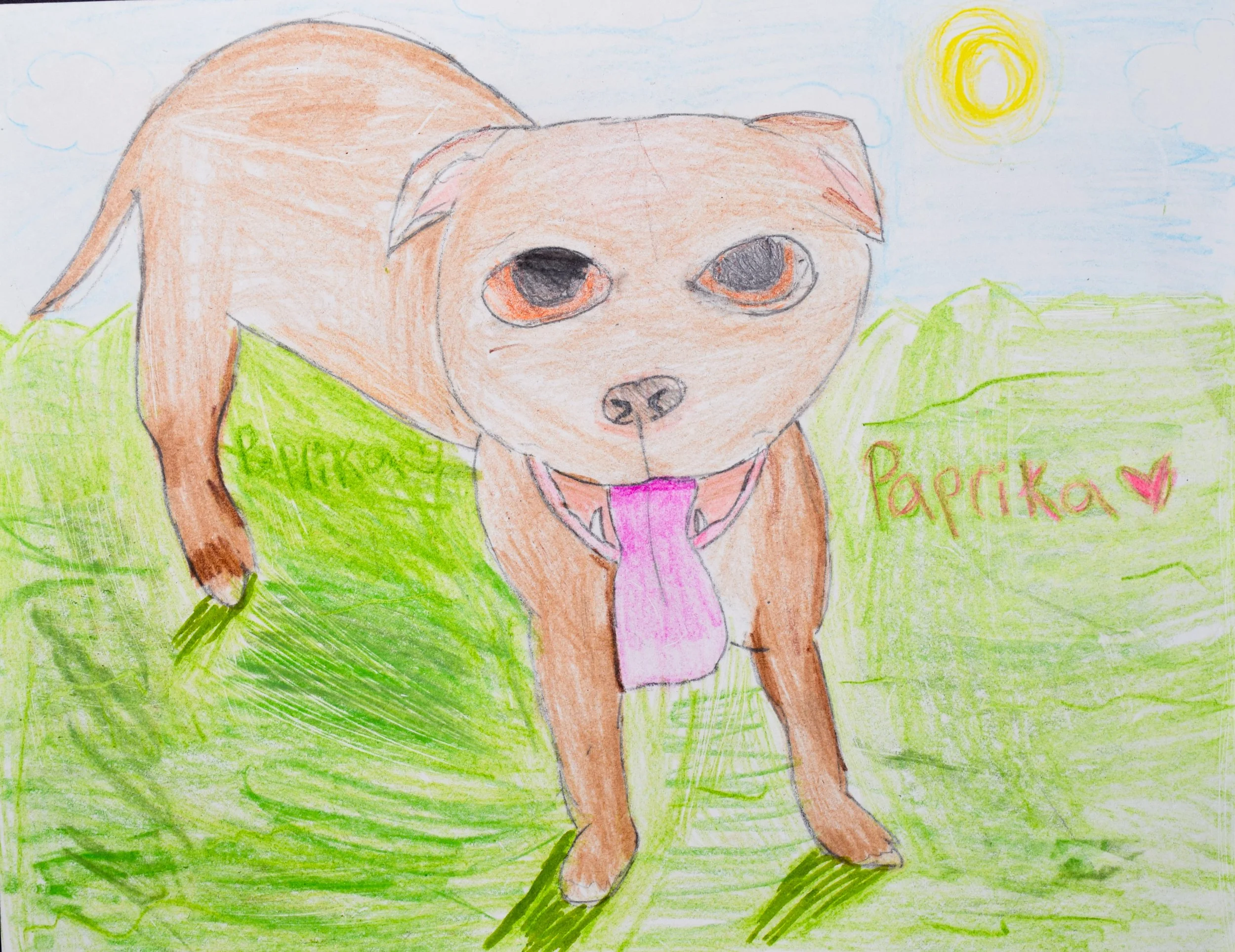 Kayli S Momenzadeh-2.jpg