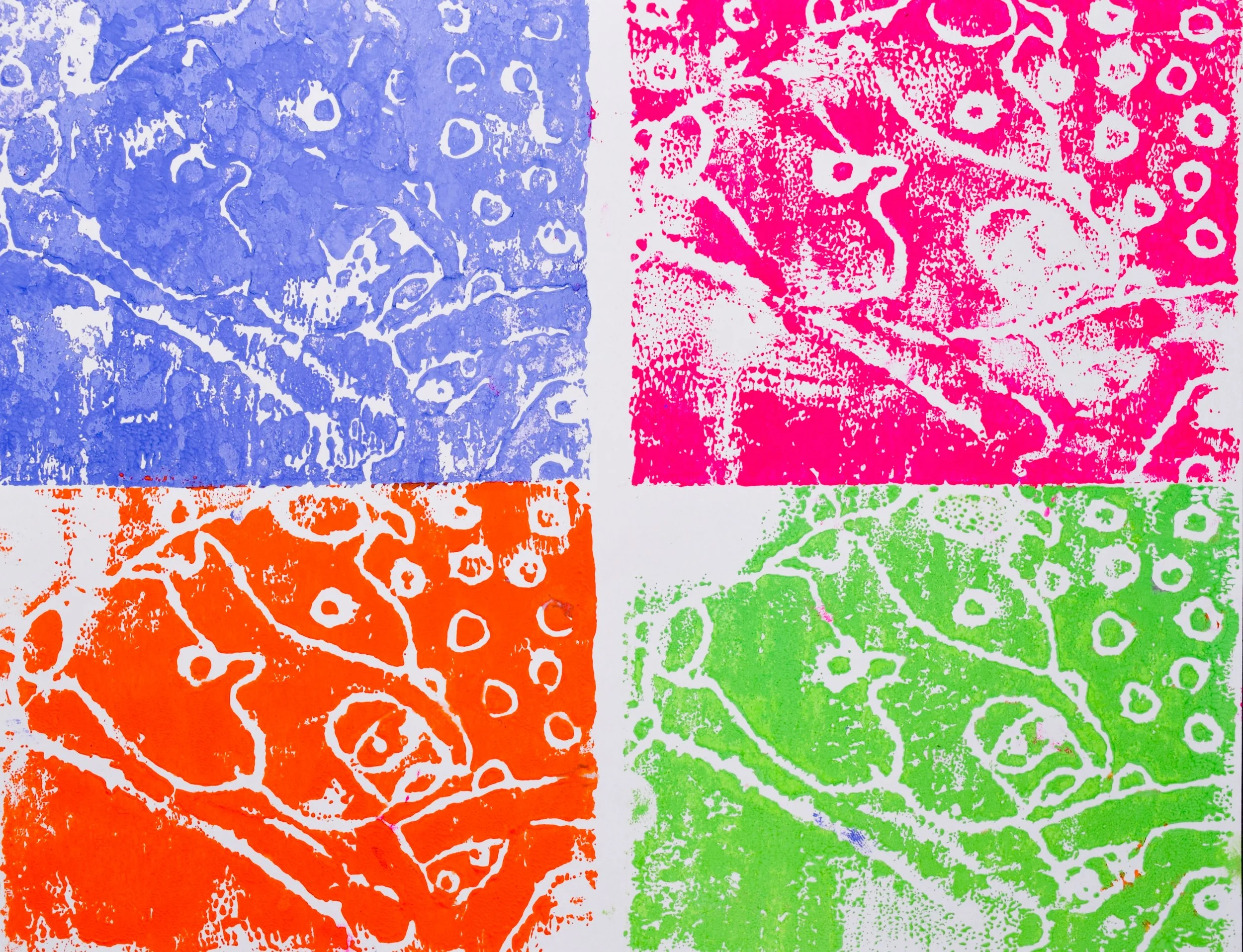 Anjali P Malloy-2.jpg