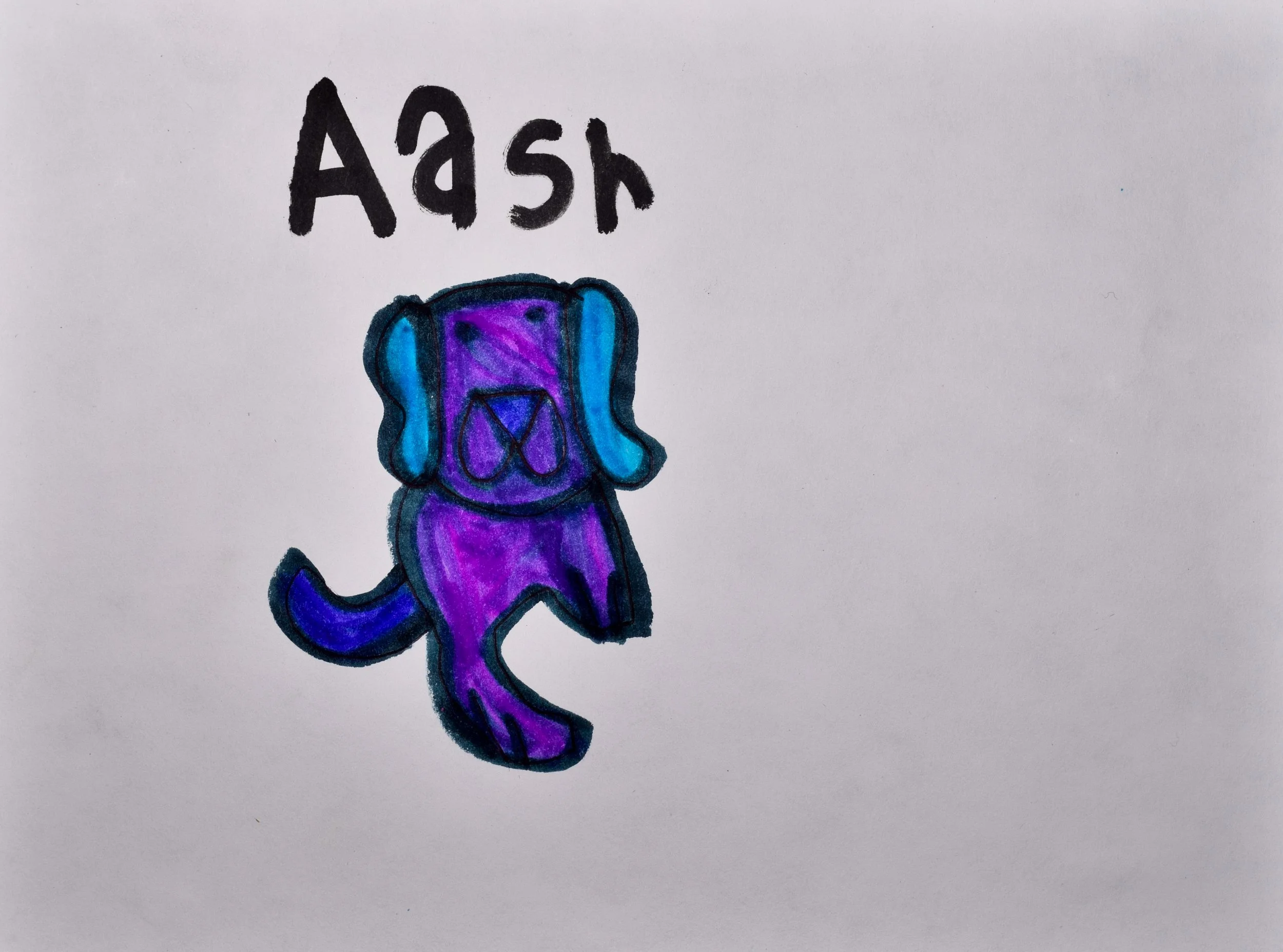 Aashrith B Seyler-2.jpg