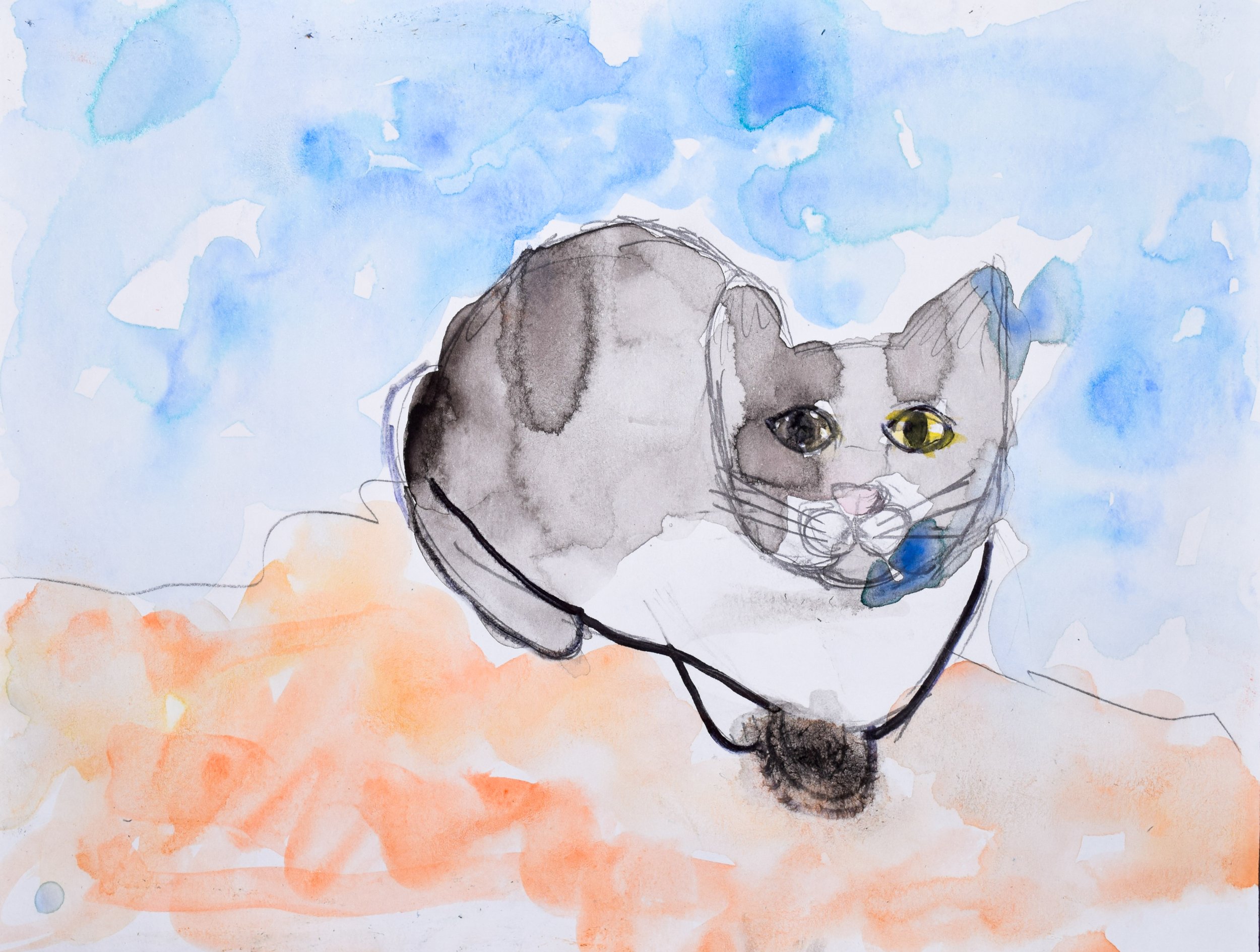 Cora H Mesaros-2.jpg