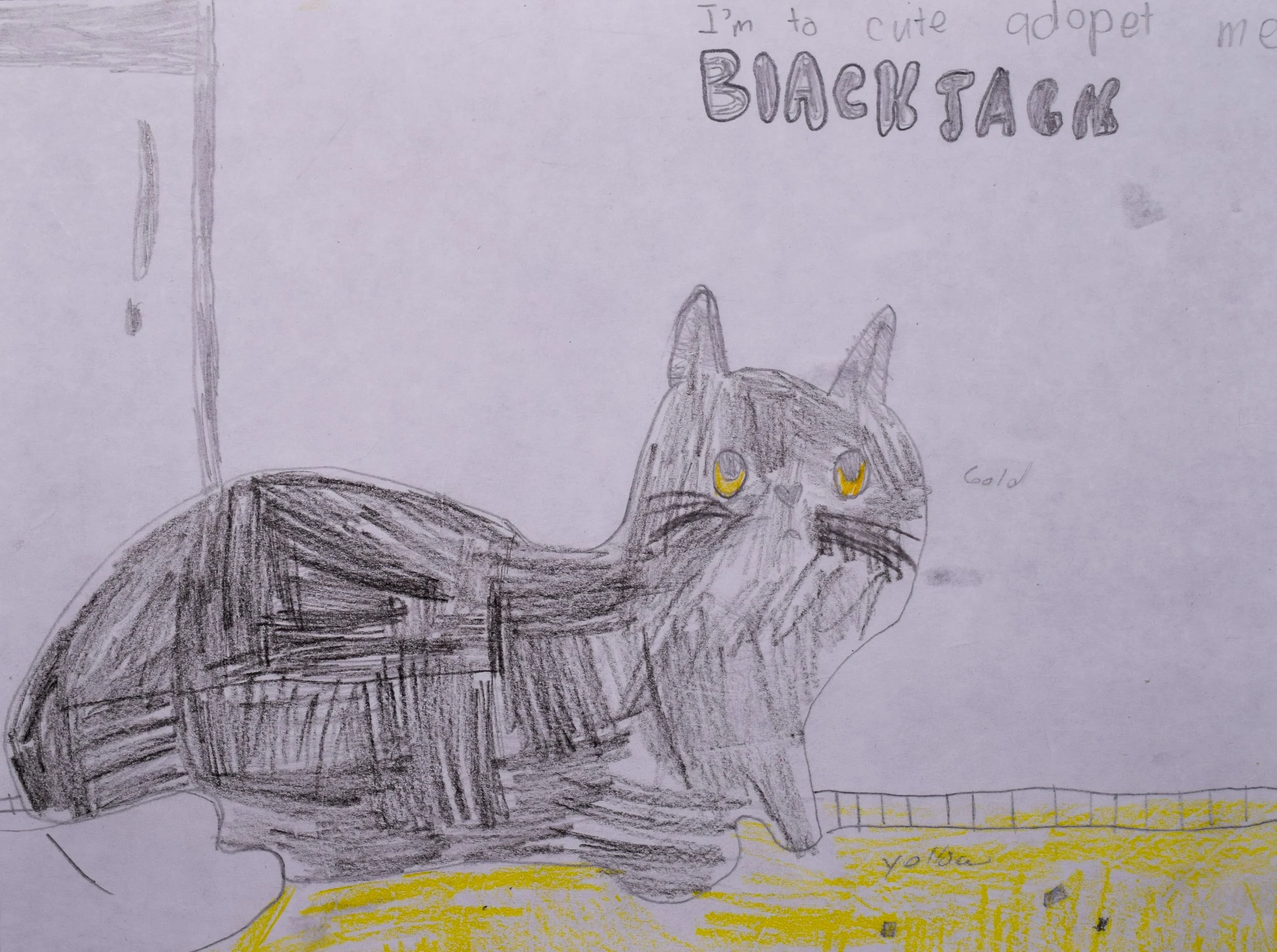 Hayden L Cathy-2.jpg