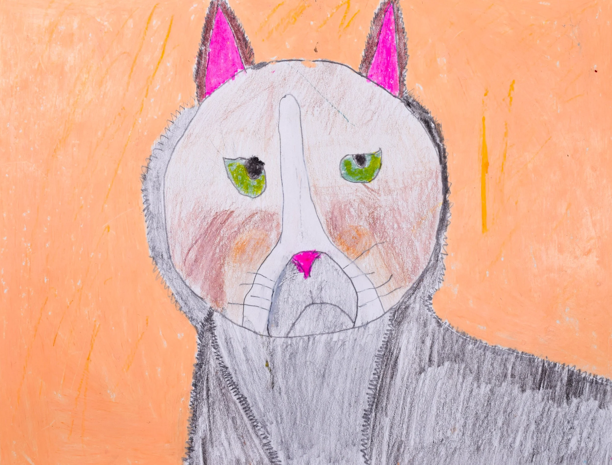 Grayson M Momenzadeh-2.jpg