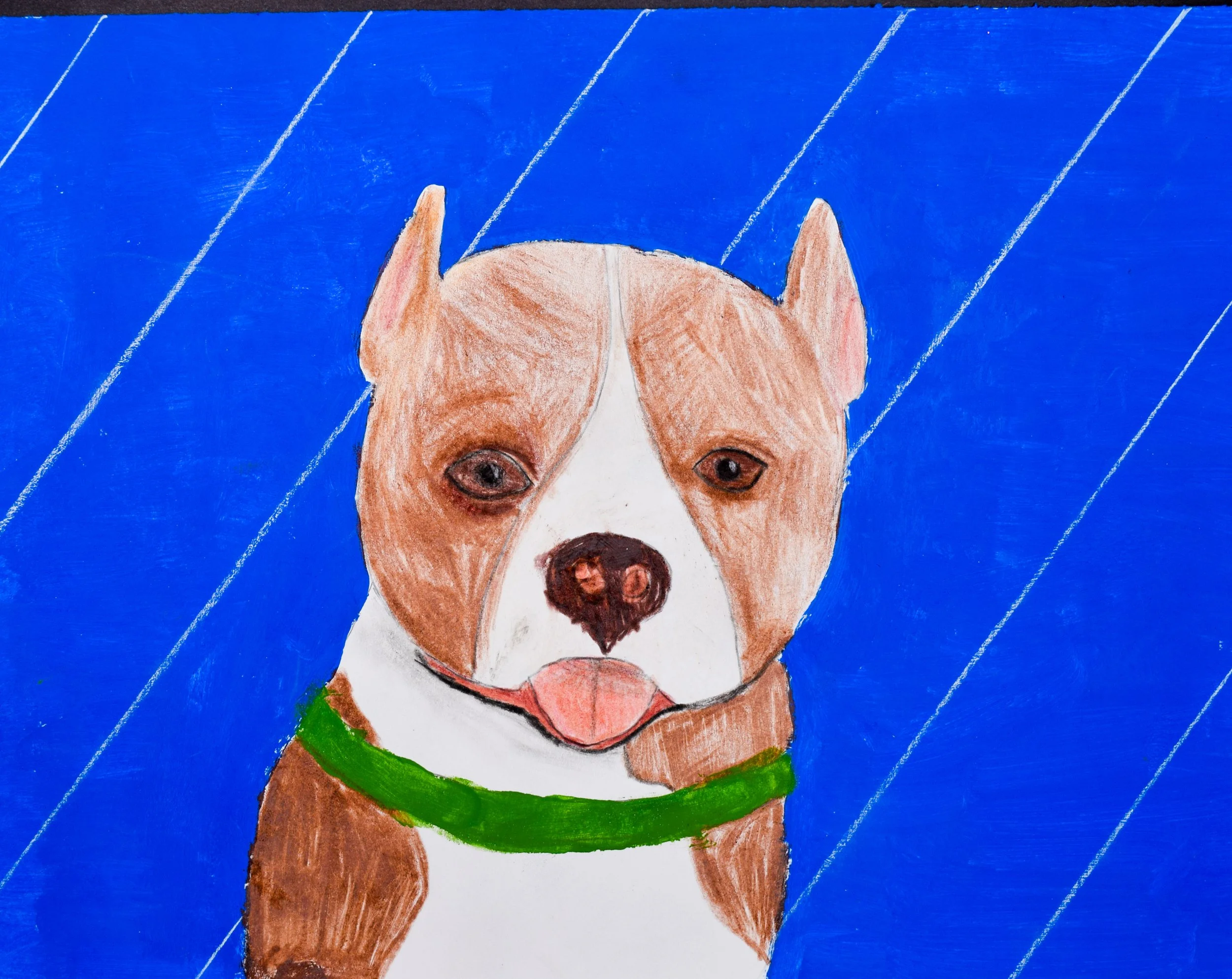 Avery F Momenzadeh-2.jpg