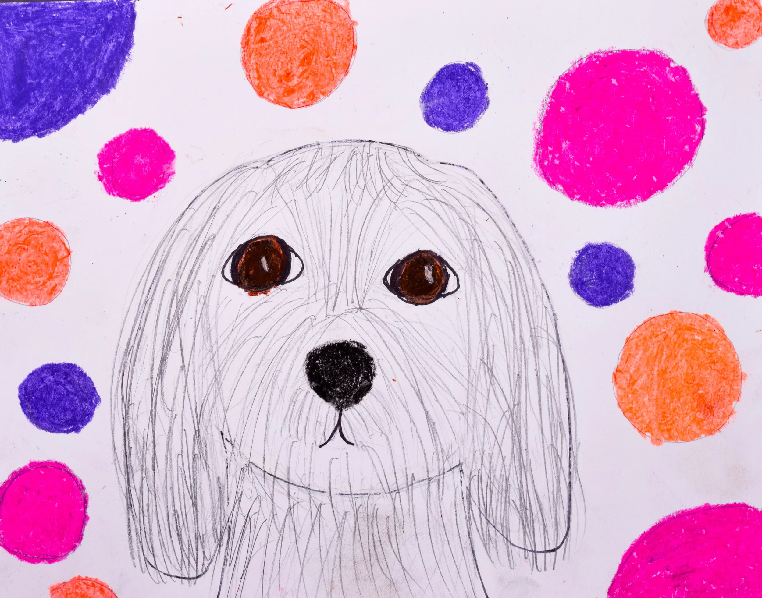 Zoya K Momenzadeh-2.jpg