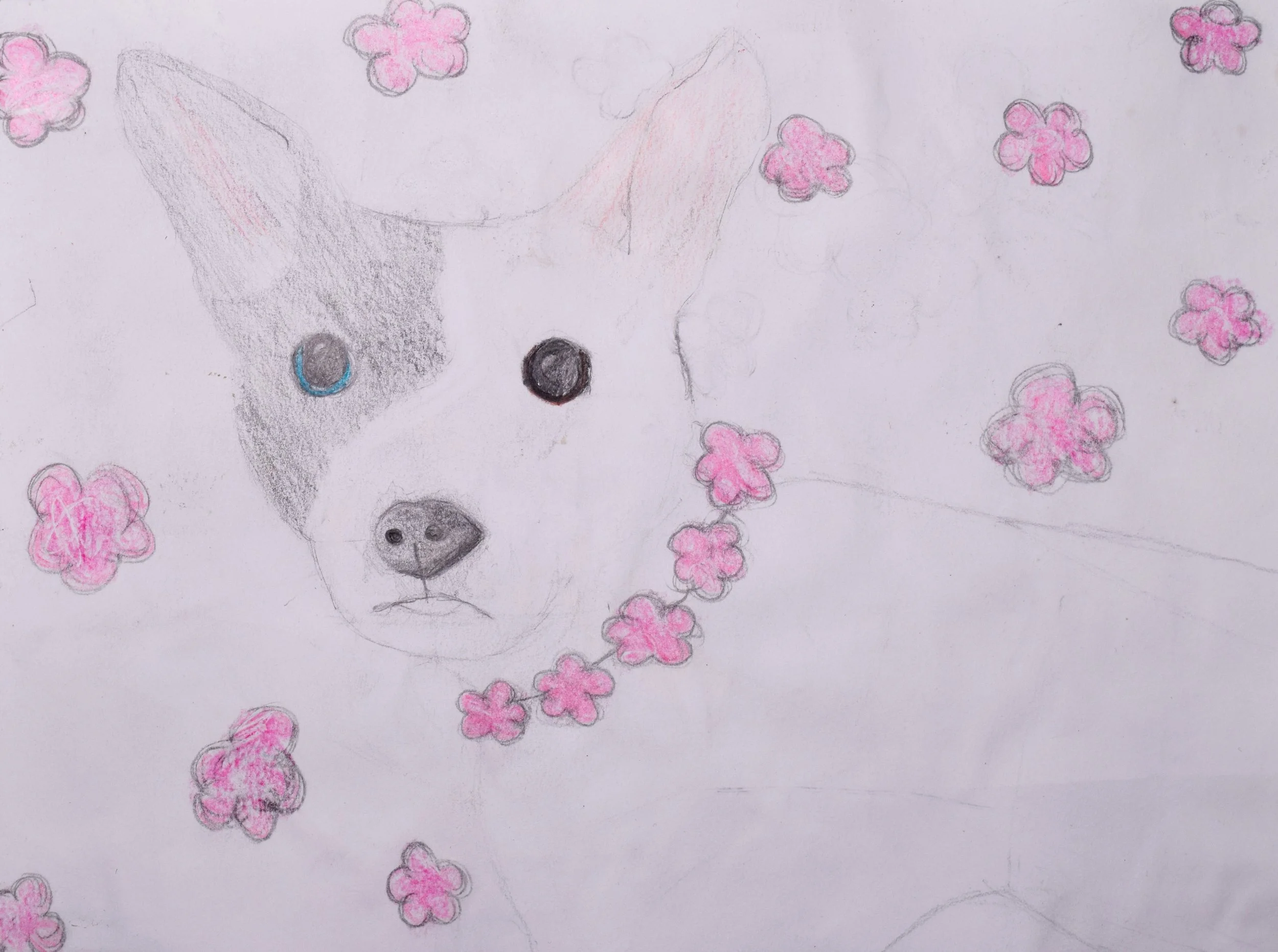 Catie M-S Graham-2.jpg