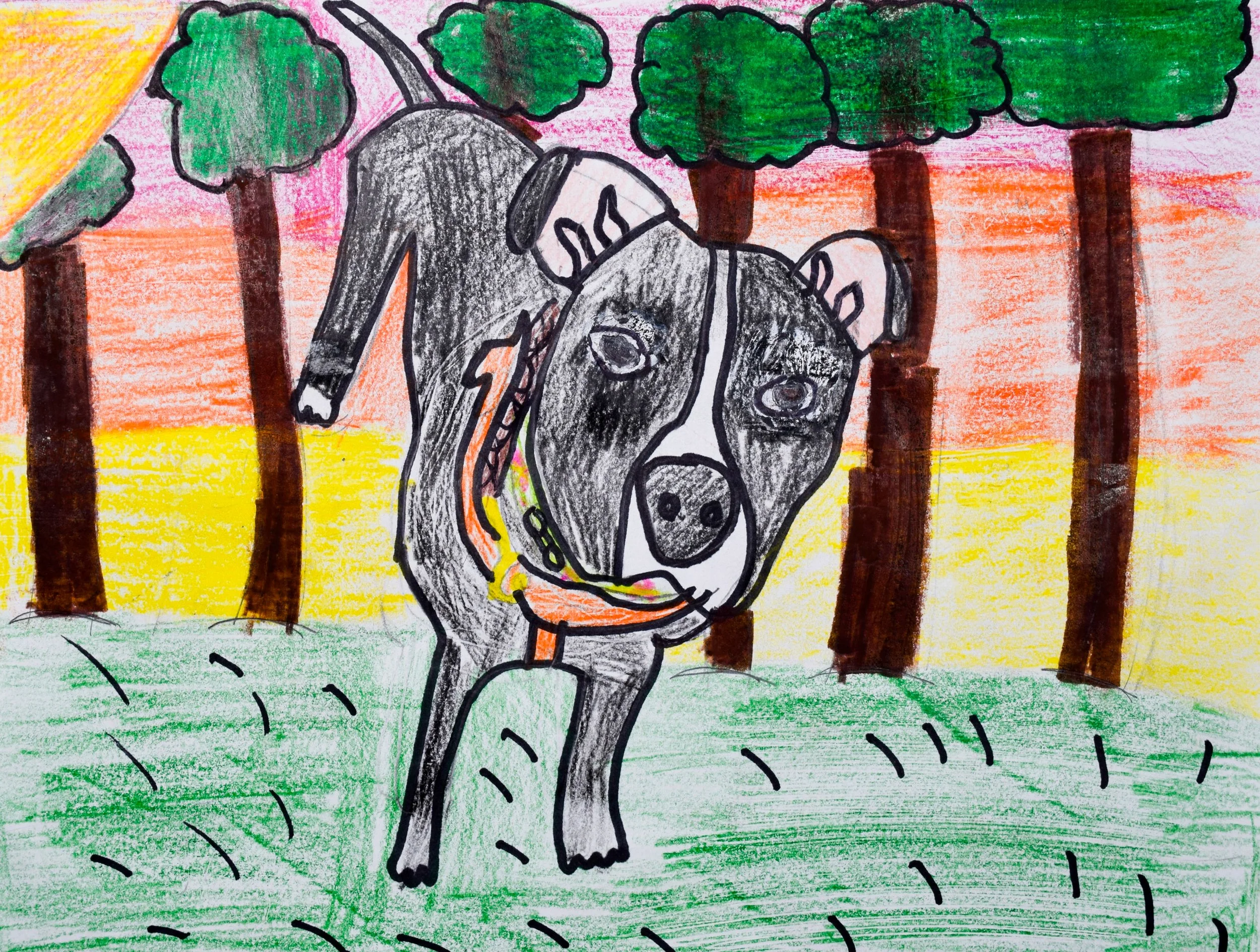 Lyla A Liberto-2.jpg