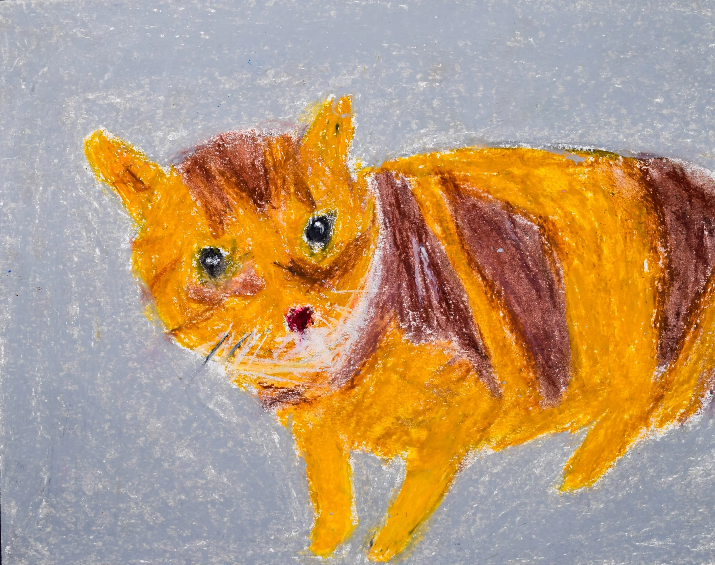 Margo P Citrano-2.jpg