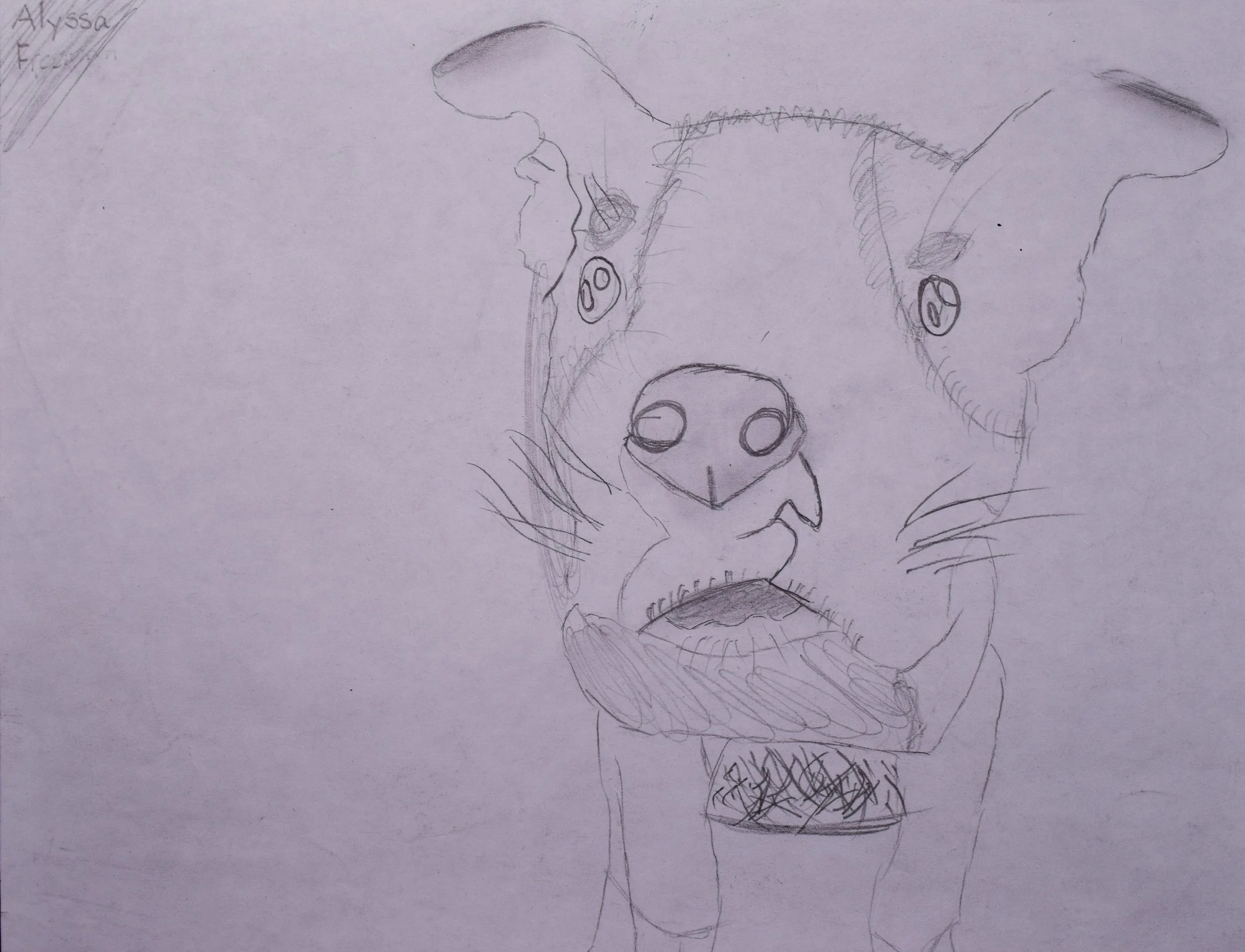 Alyssa F Cathy-2.jpg