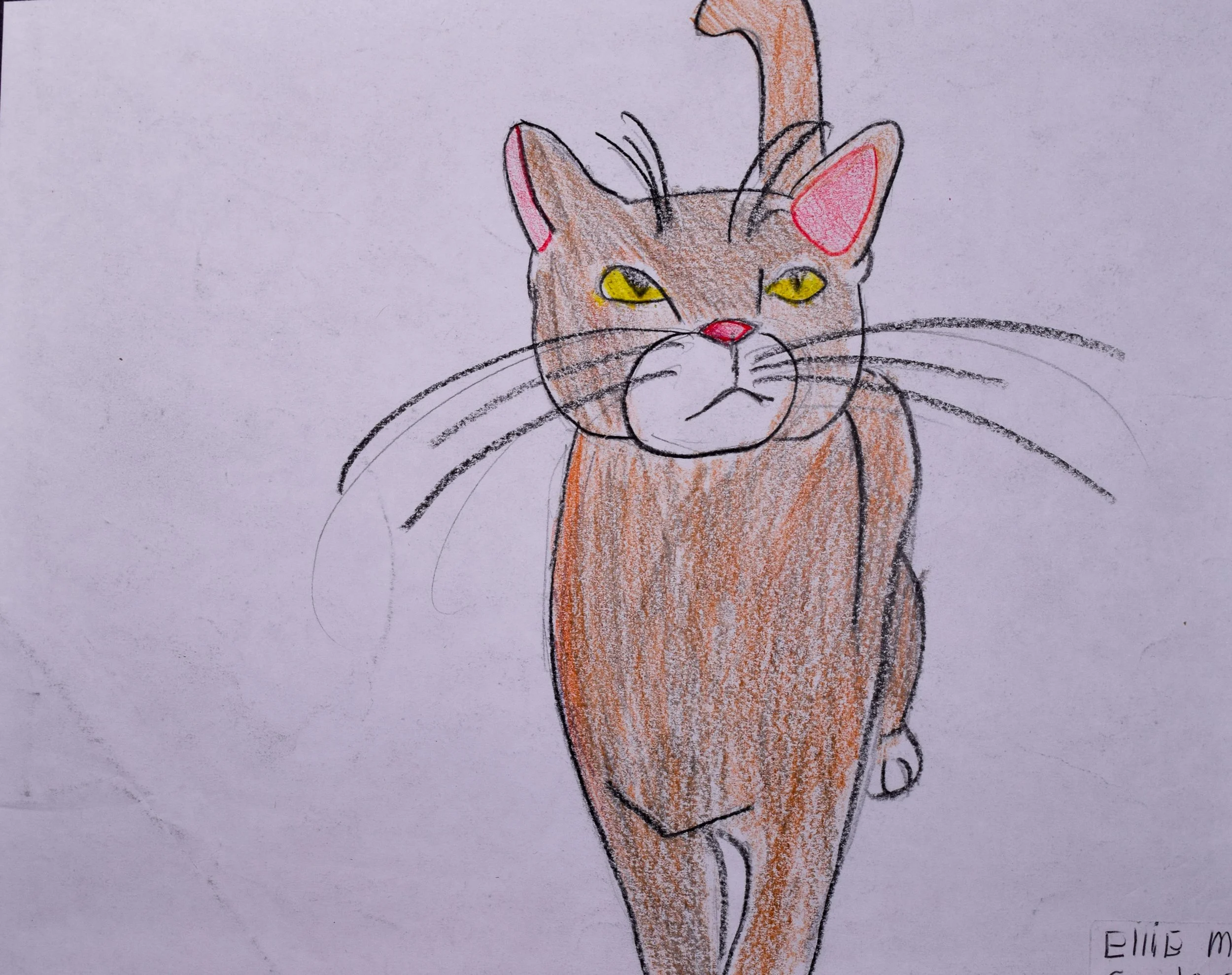 Ellie M 2 Cathy-2.jpg