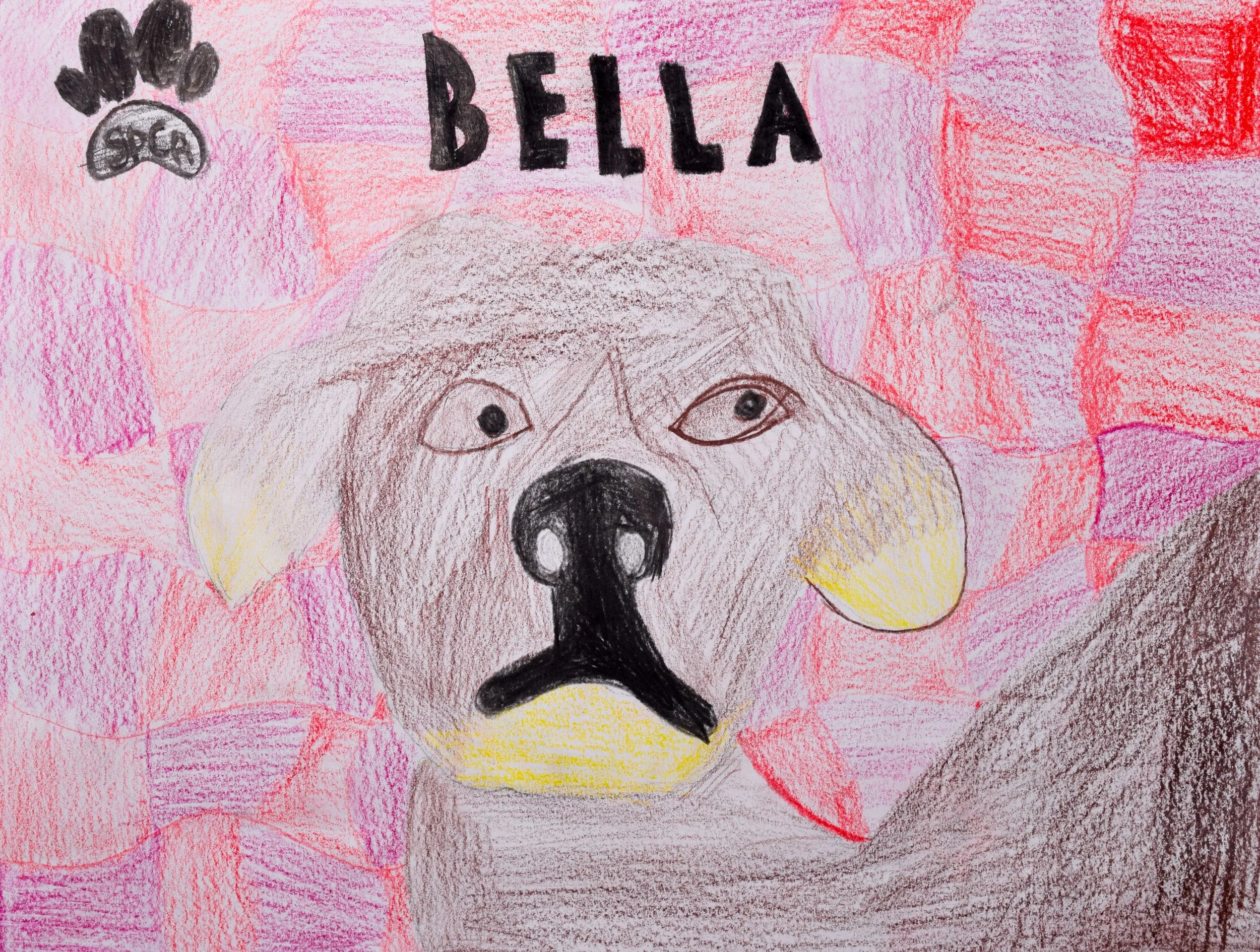 Chloe H Graham-2.jpg