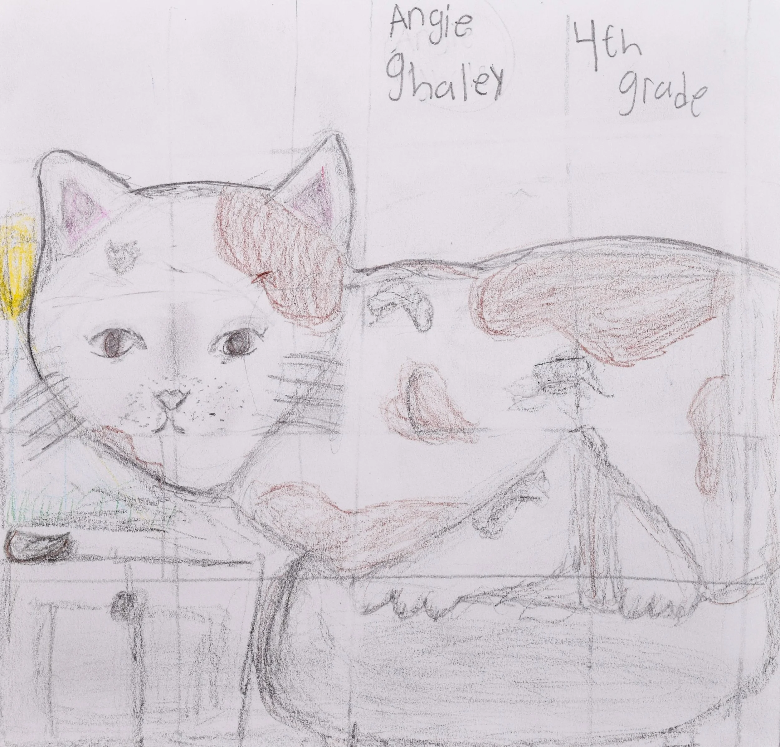 Angie G Dowell, Nehus-2.jpg