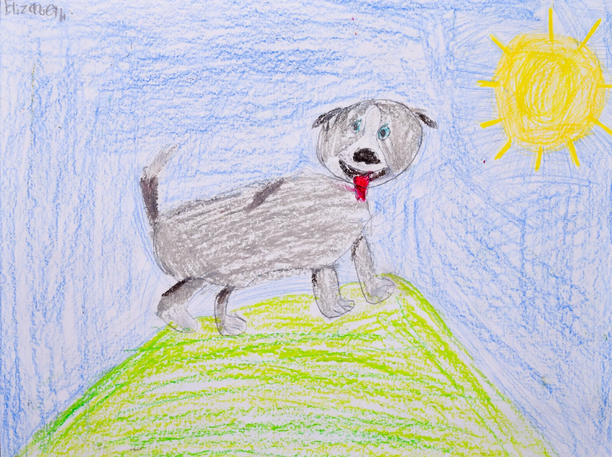 Elizabeth B Boyle-2.jpg