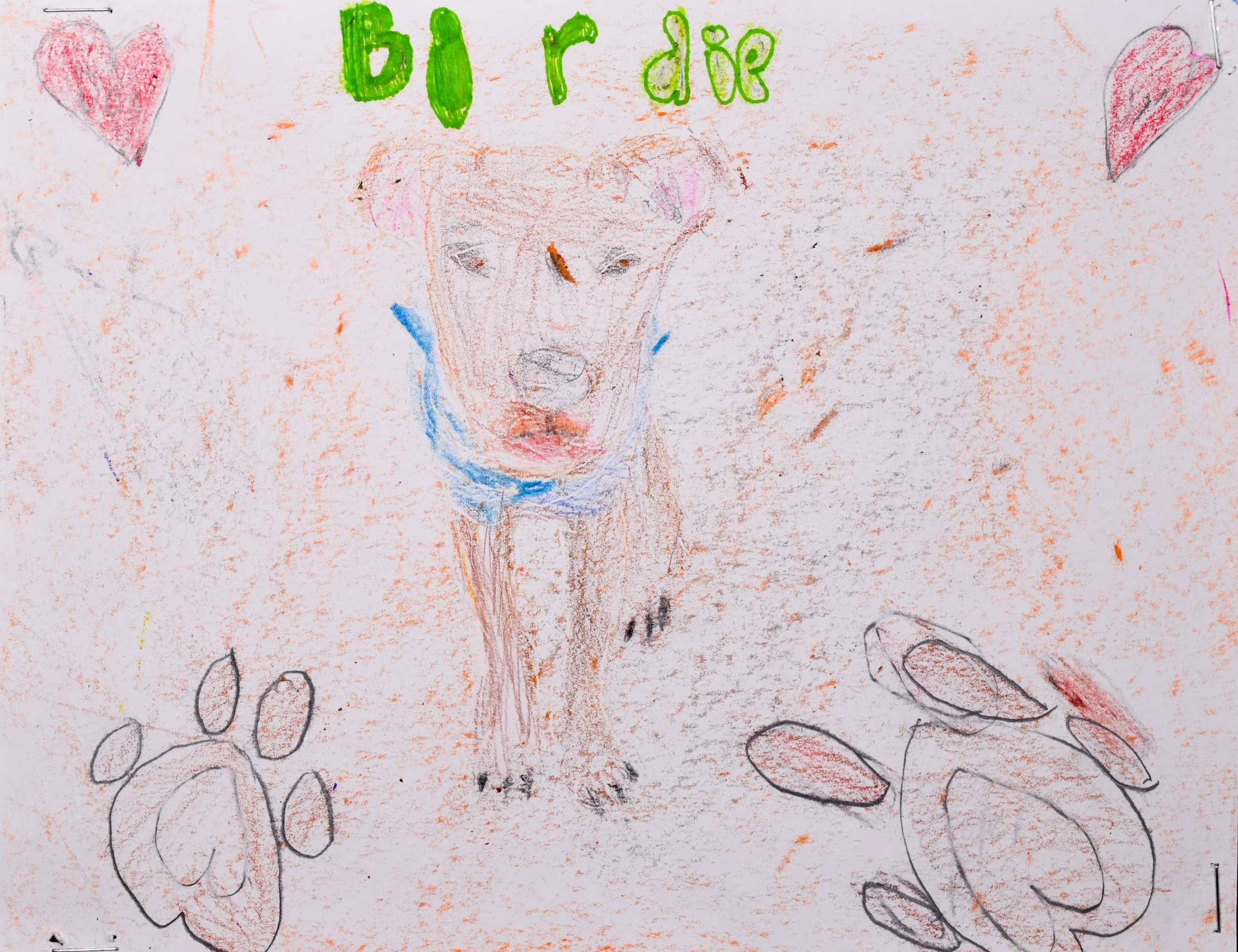 Cooper U Robertson-2.jpg