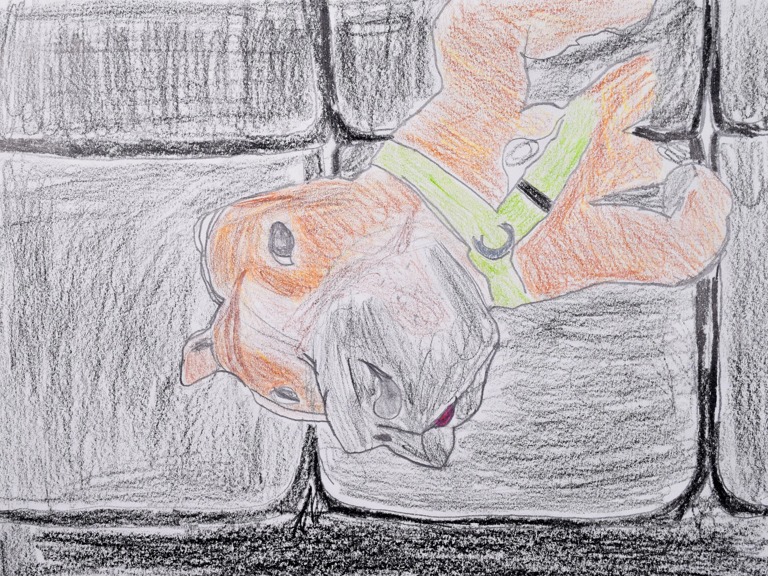 Evan S Liberto-2.jpg