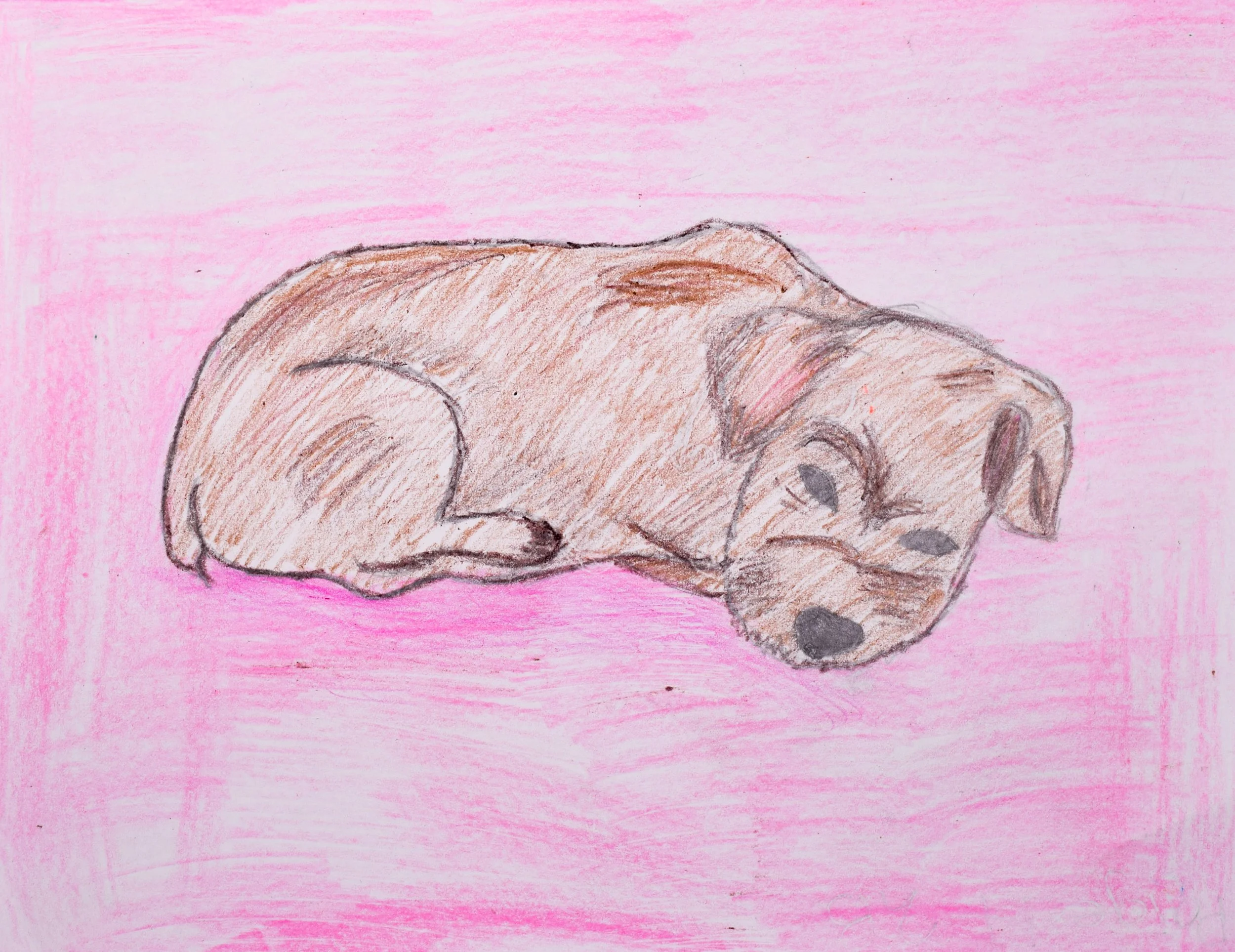 Paige H Momenzadeh-2.jpg