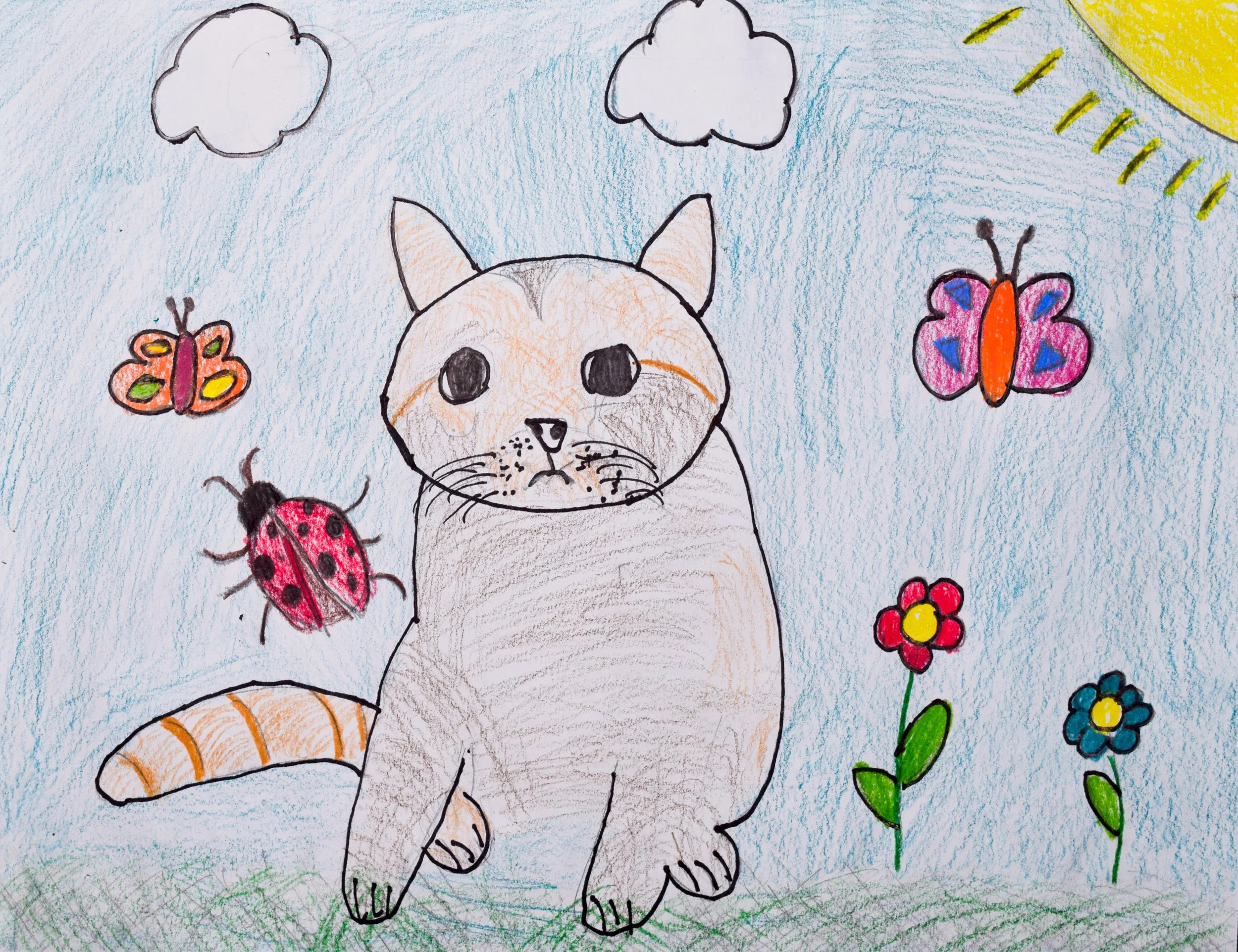 Quinn M Graham-2.jpg