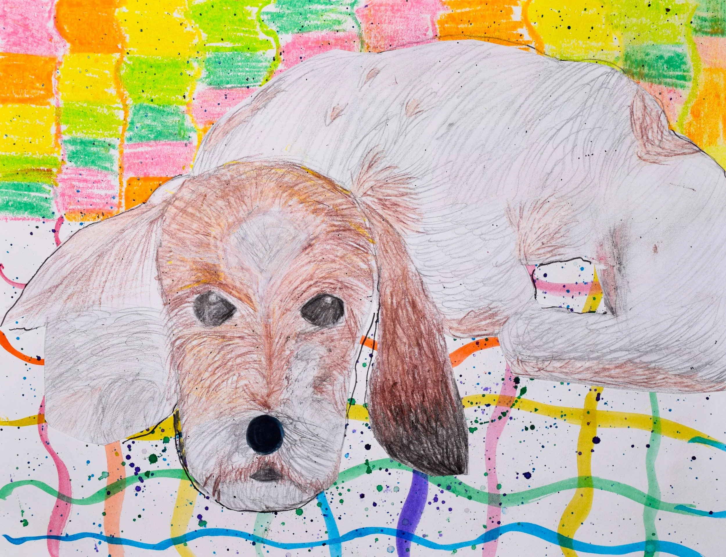 Olivia P Pavlovsky-2.jpg