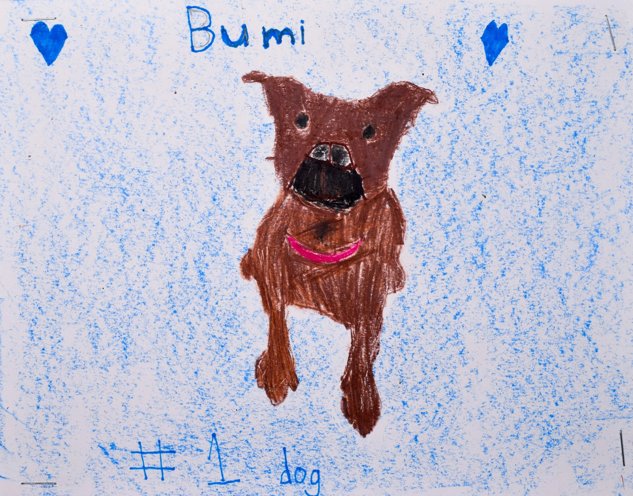 Luke H Robertson-2.jpg