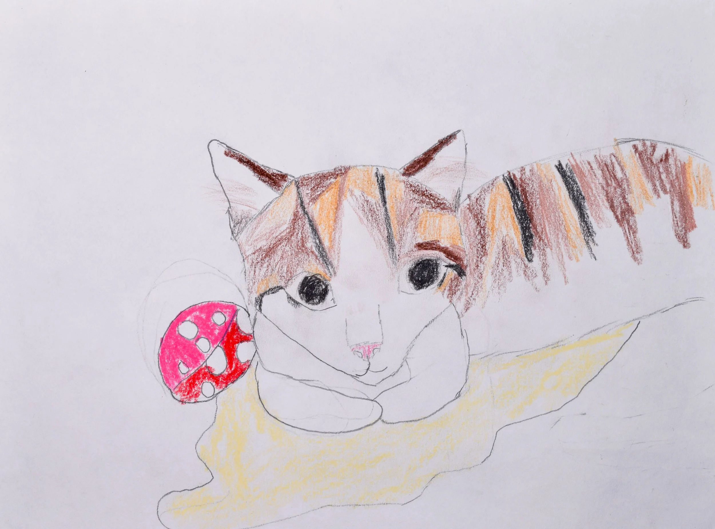 Alanna T Liberto-2.jpg