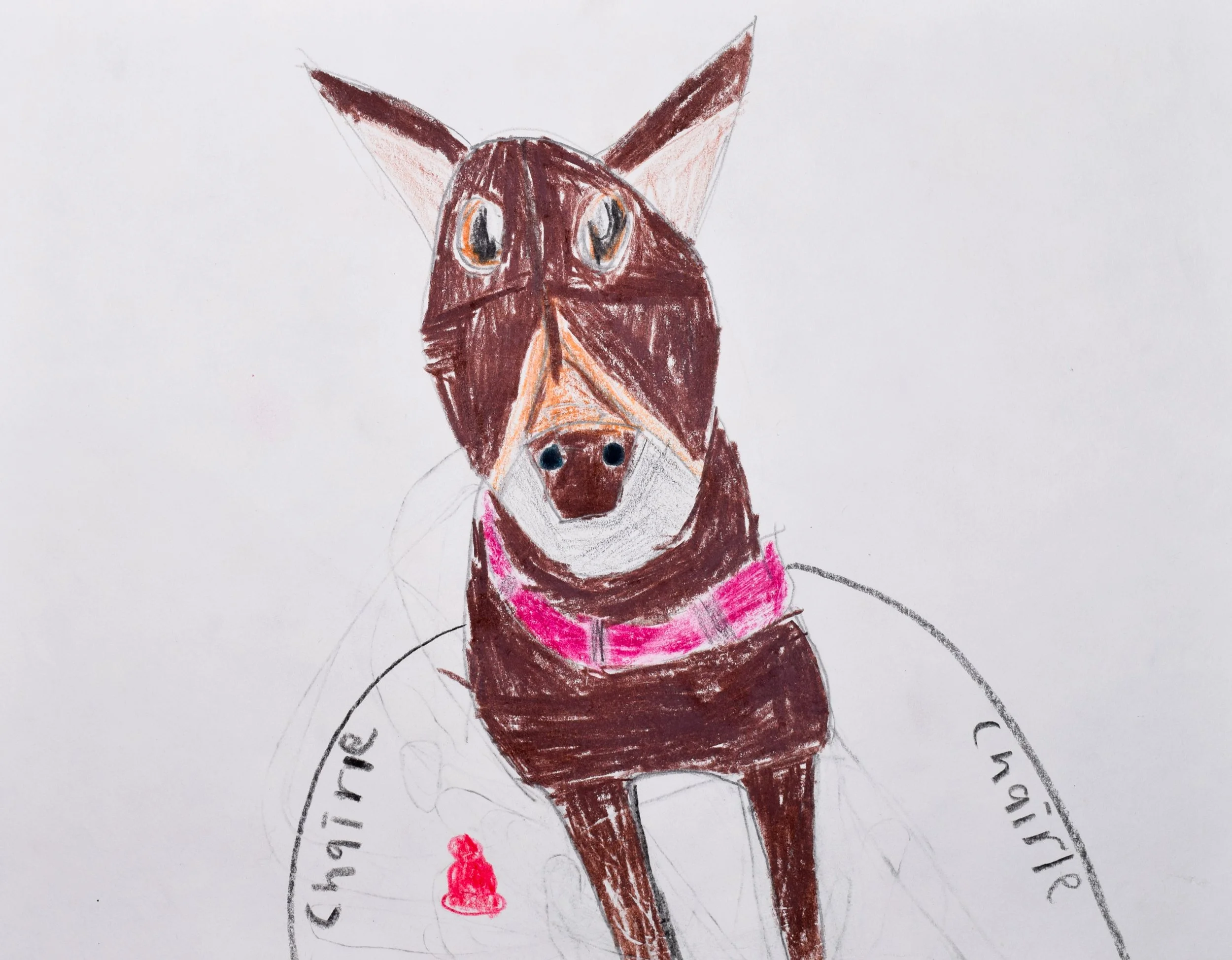 Brayden P Seyler-2.jpg