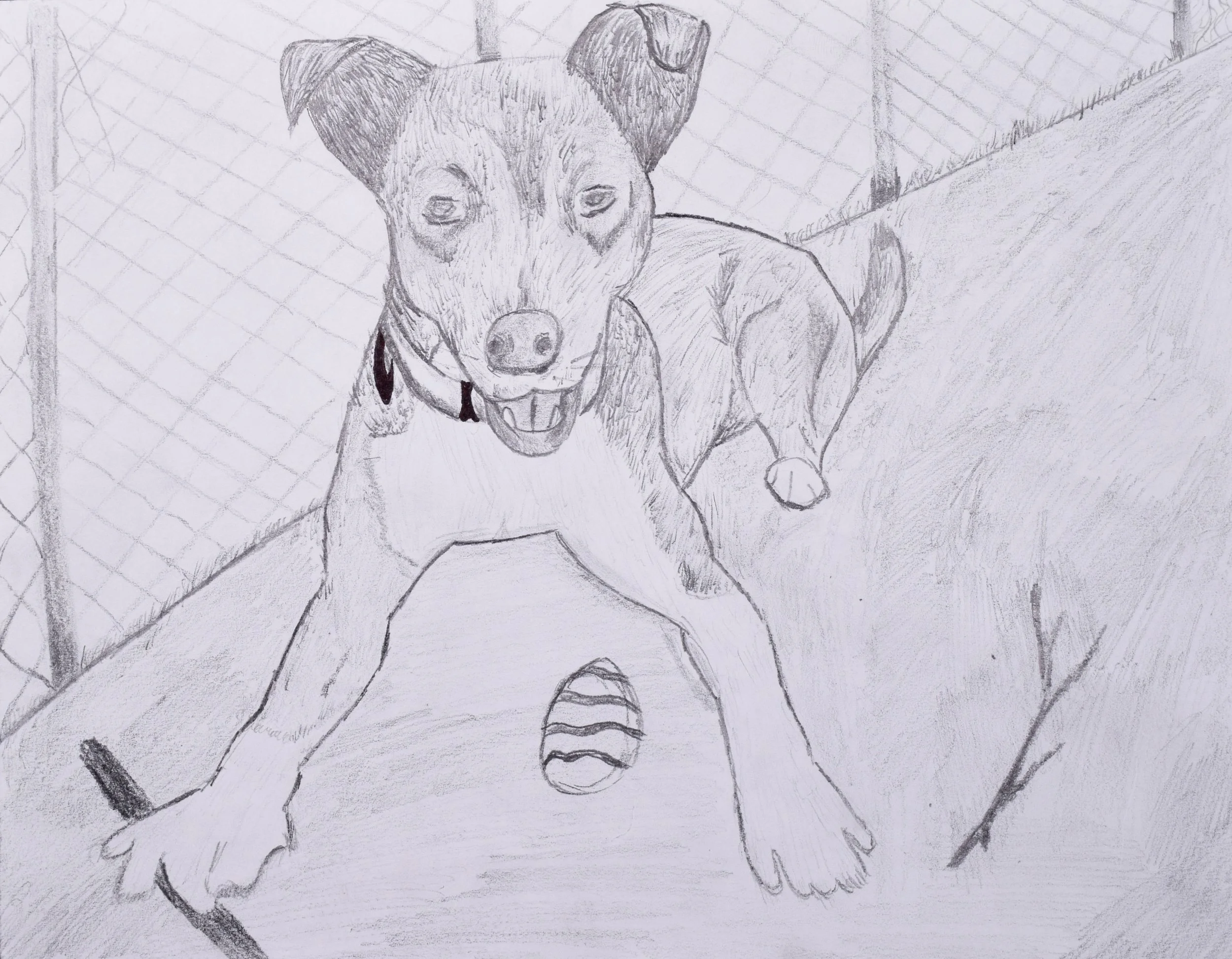 Aubrey S Honaker-2.jpg