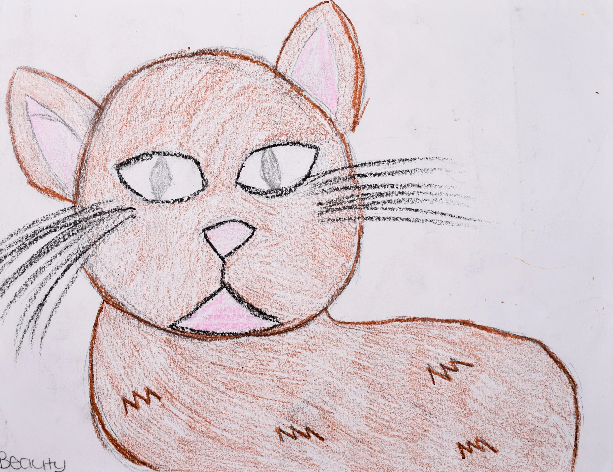 Amari C Honaker-2.jpg