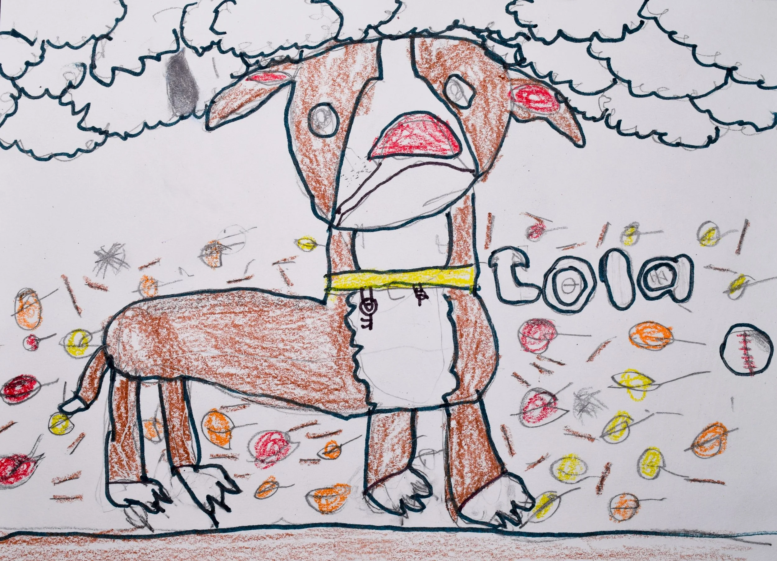 Joanise H Taylor-2.jpg