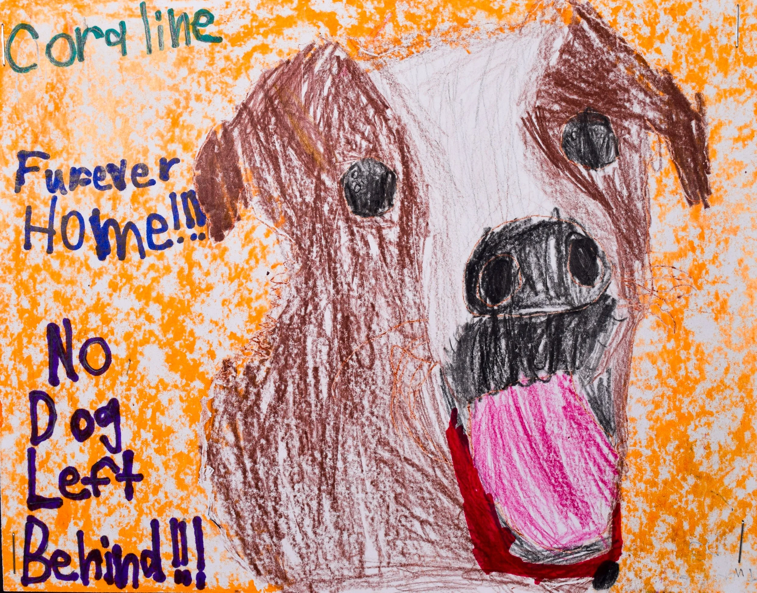 Tucker C Robertson-2.jpg