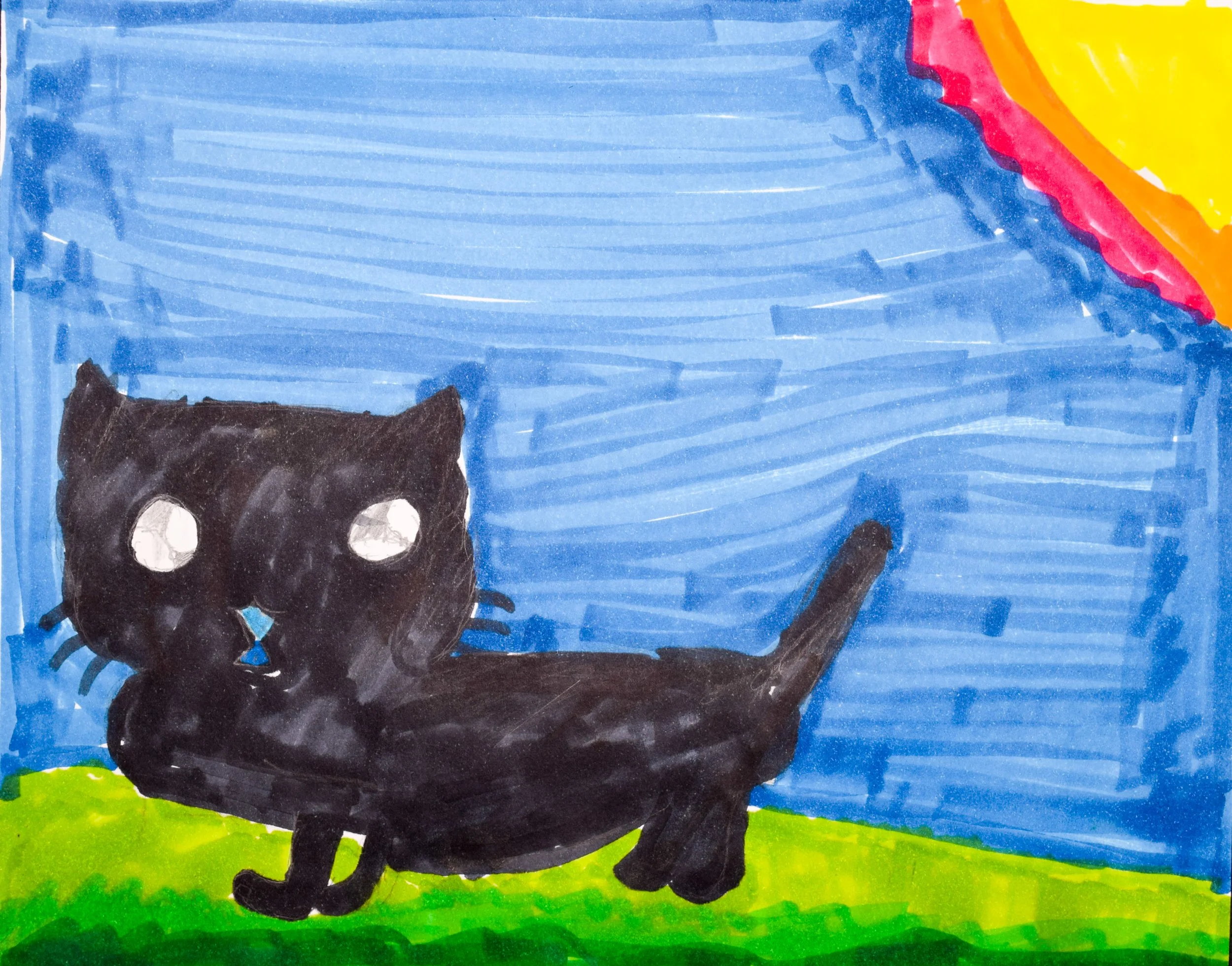 Jennifer C Nelson-Lewis, Pfaff-2.jpg