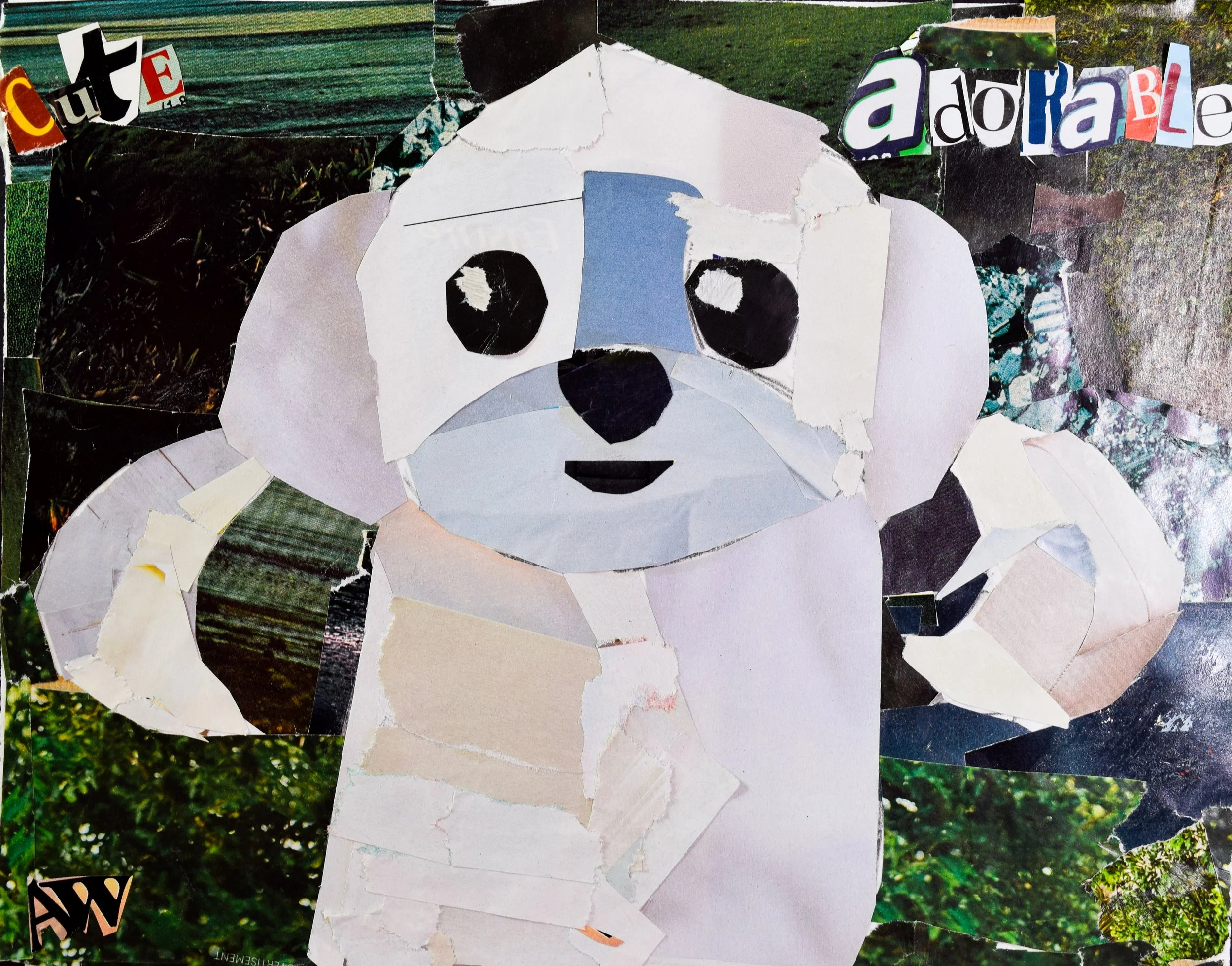 Hailey Y Schappel-2.jpg