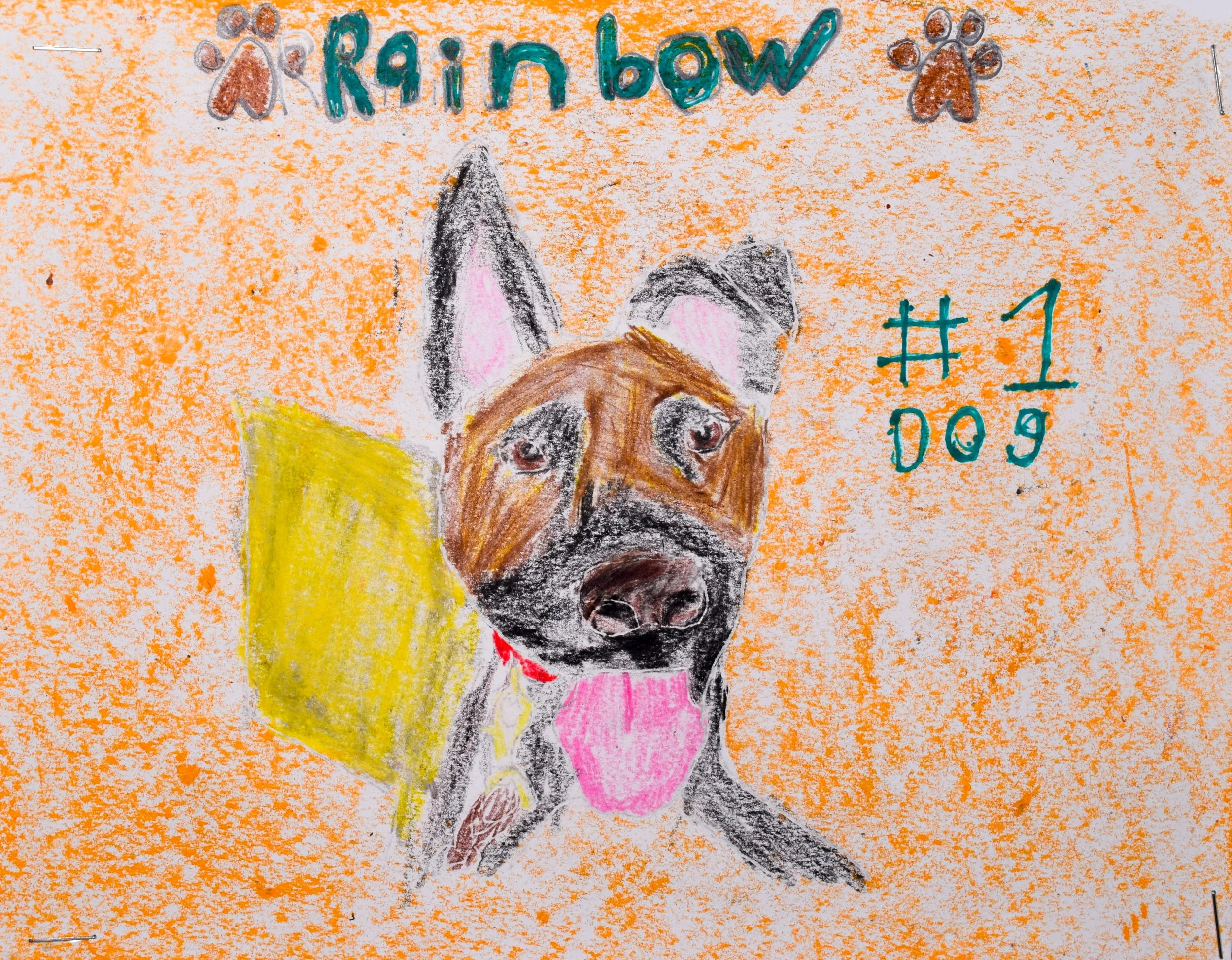 Nathan D Robertson-2.jpg