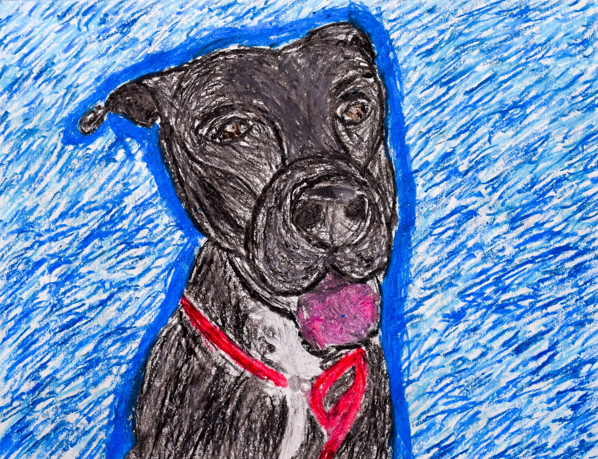 Maya S Citrano-2.jpg