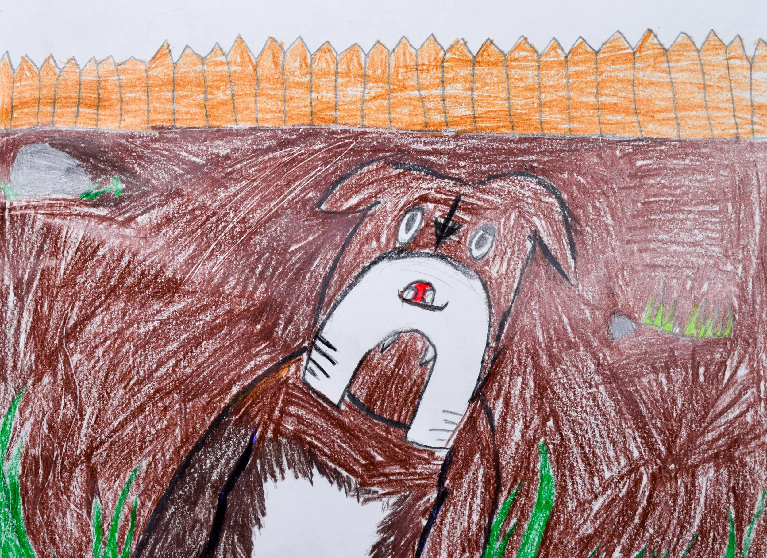 Zaki Z Liberto-2.jpg