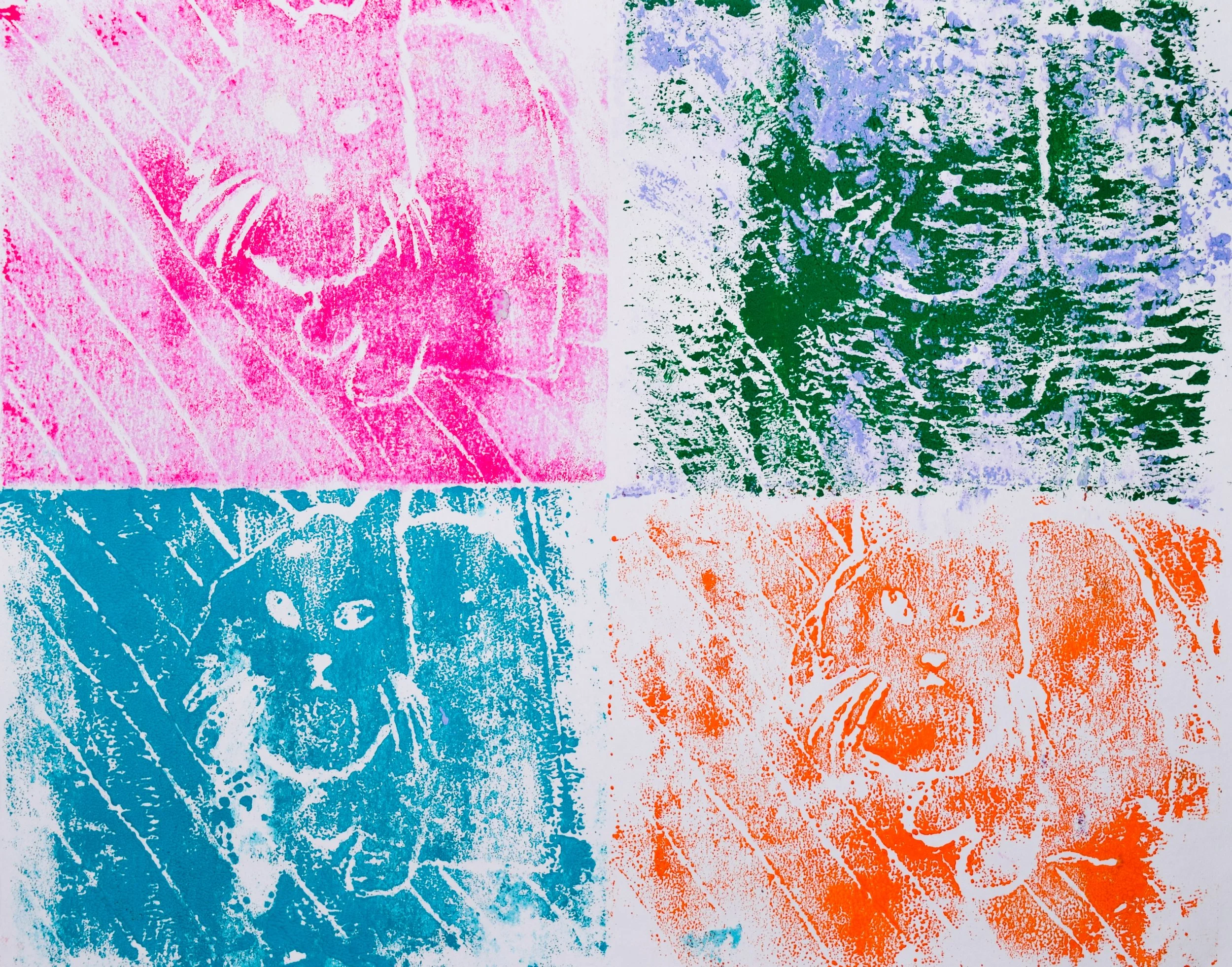 Livia C Malloy-2.jpg