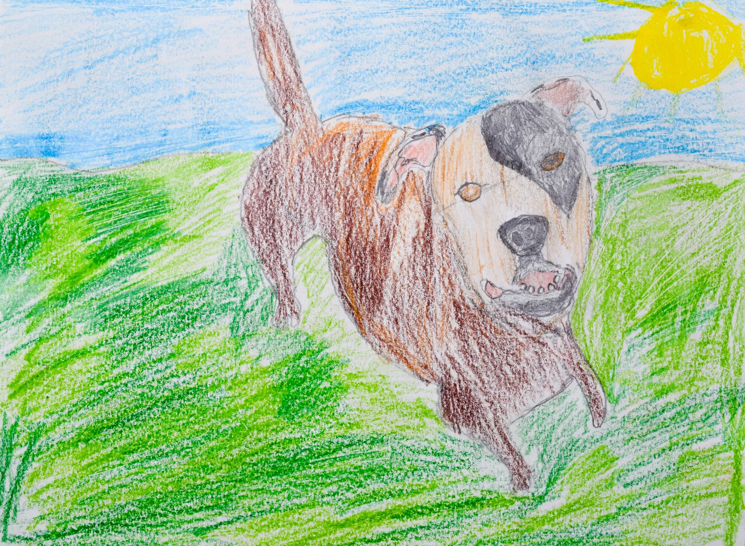 Solomon T Graham-2.jpg