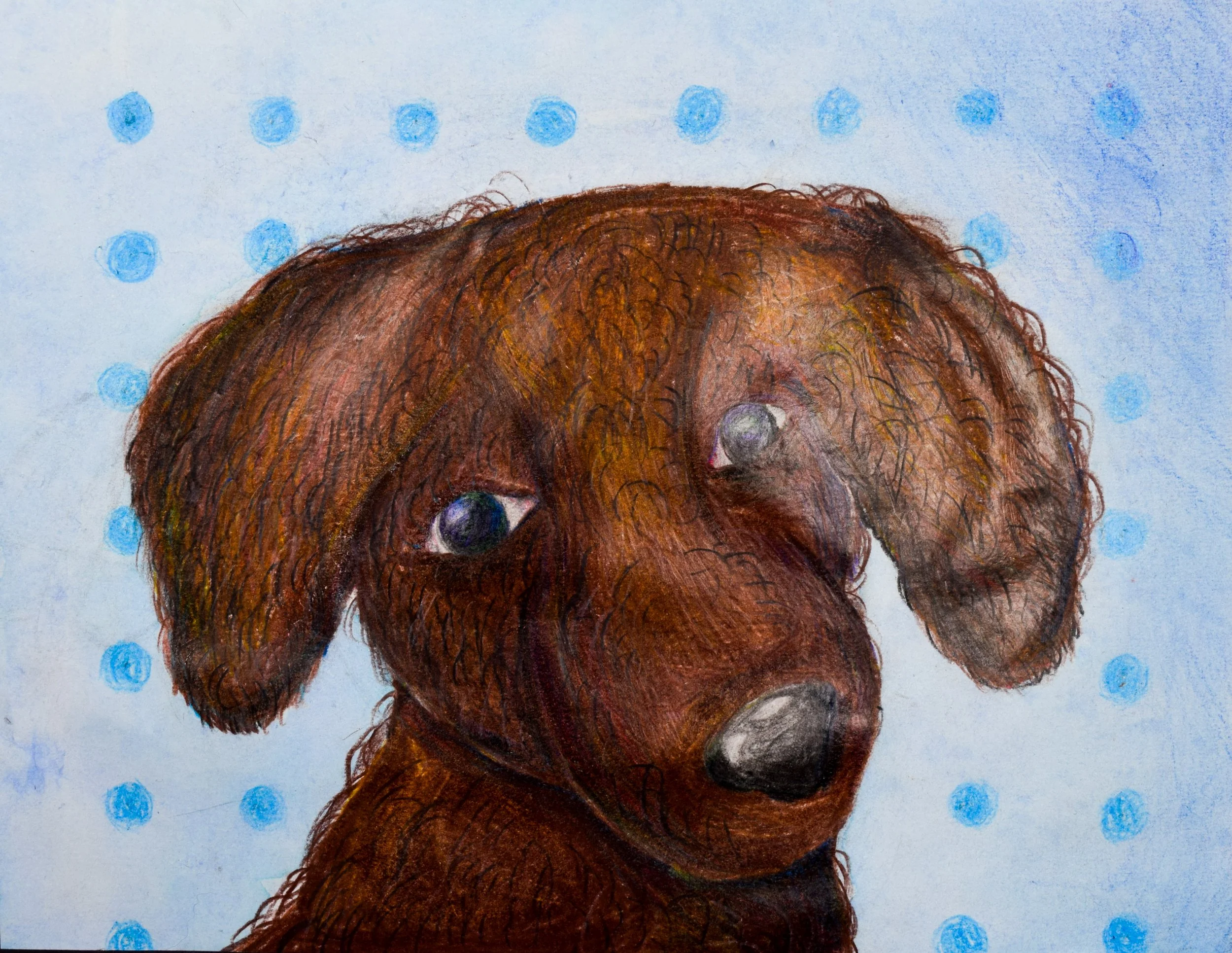 Carleigh B Fains-2.jpg