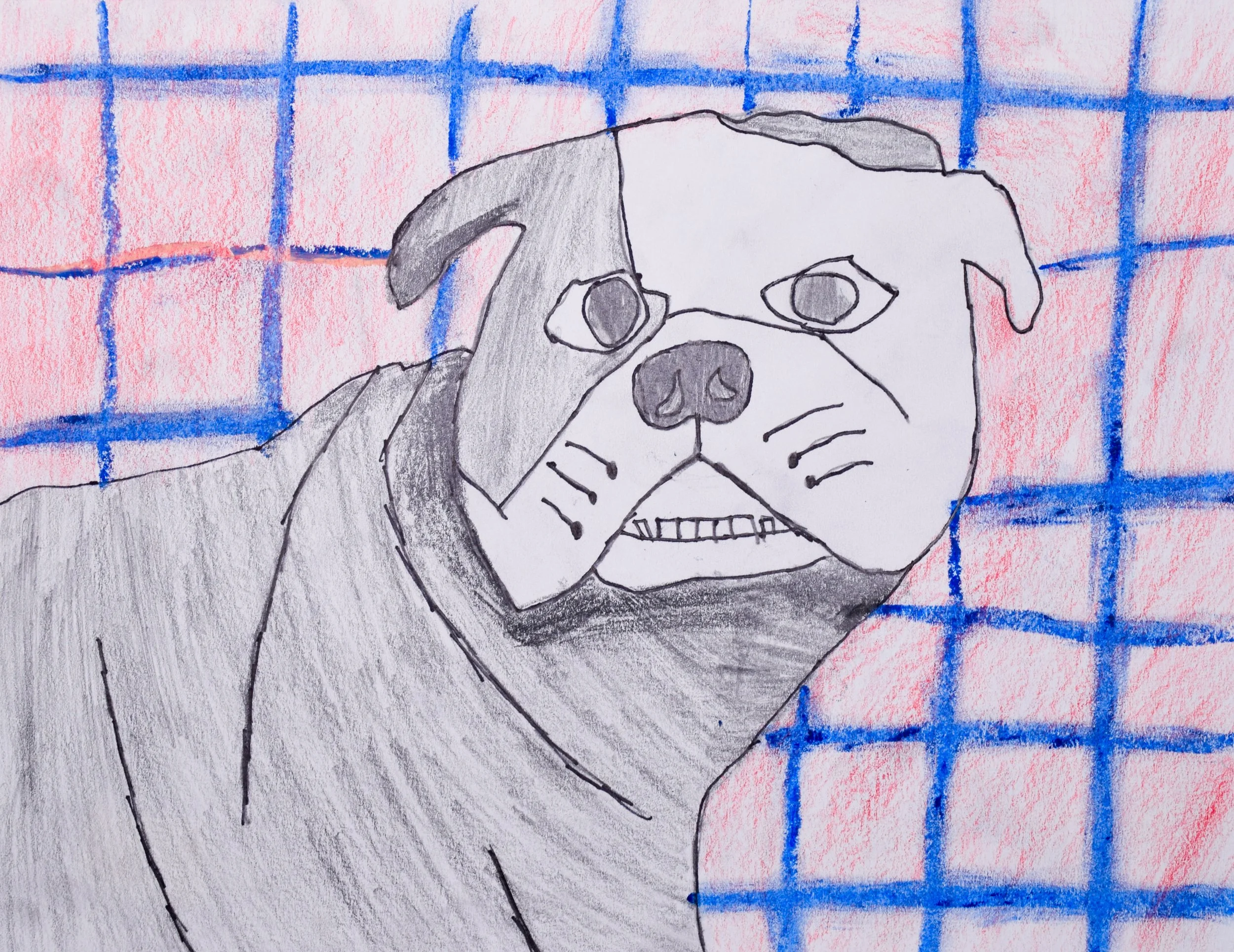 Vincent N Momenzadeh-2.jpg