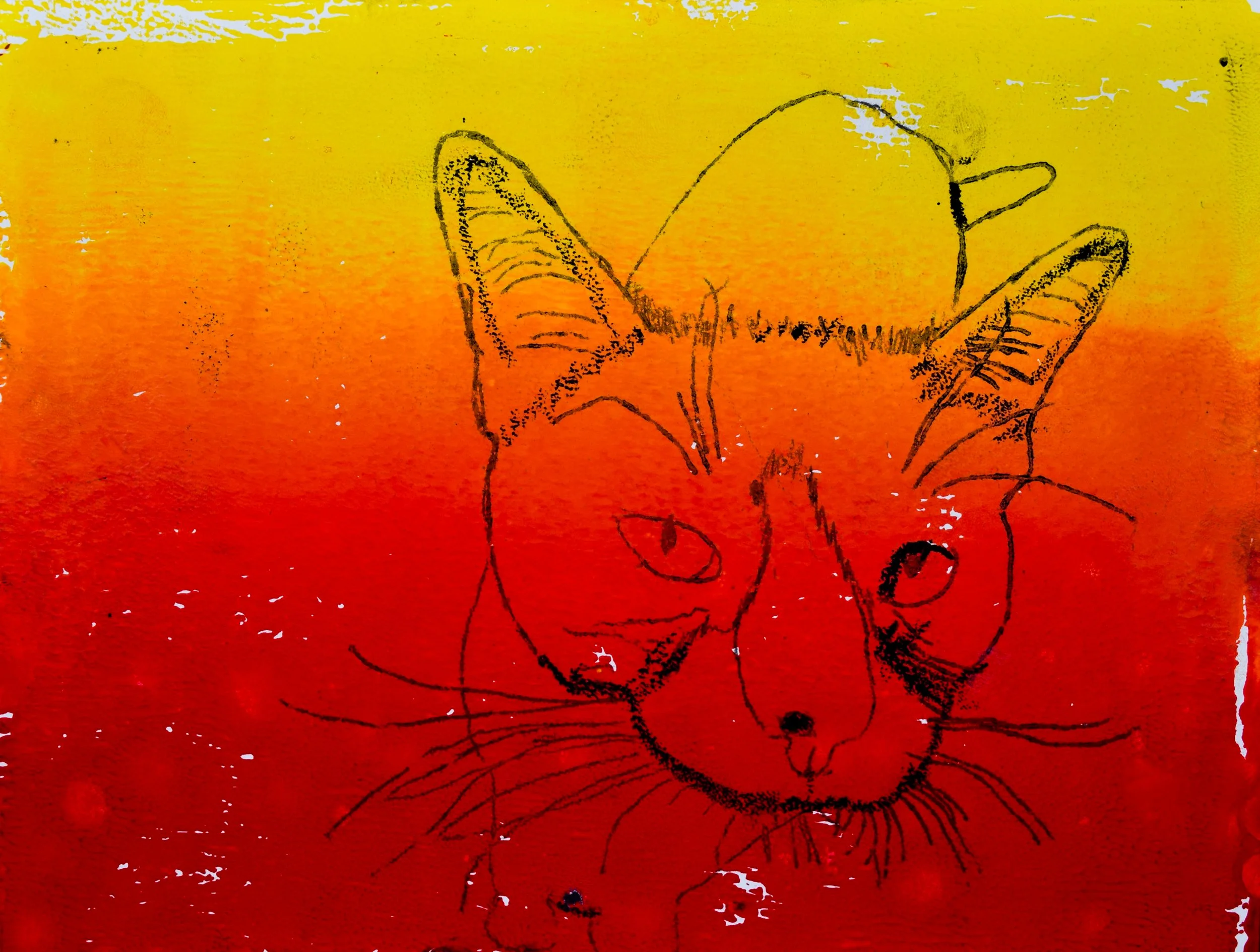 Aiden C Paszkiewicz-2.jpg