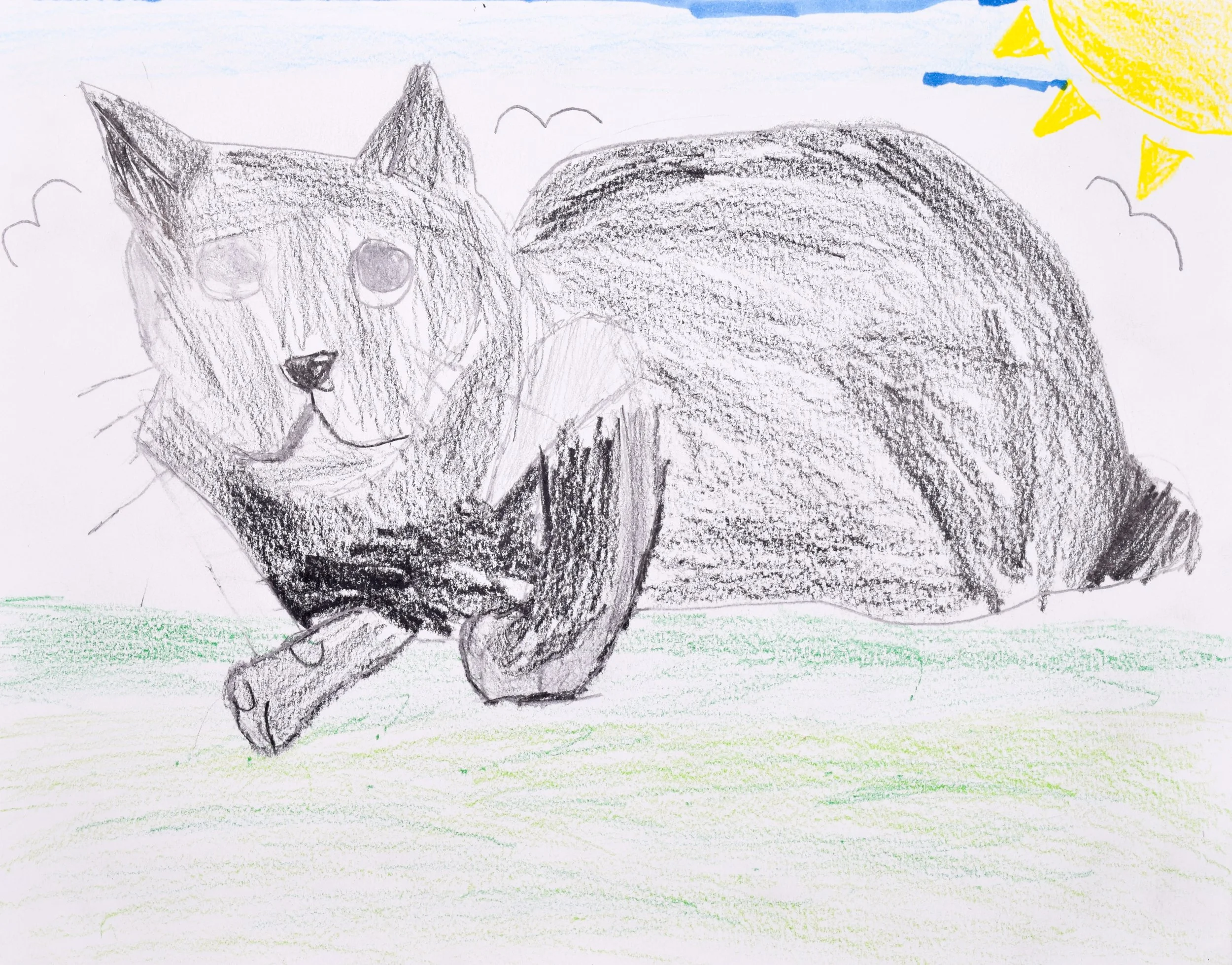 Vabeidao C Nelson-Lewis, Pfaff-2.jpg