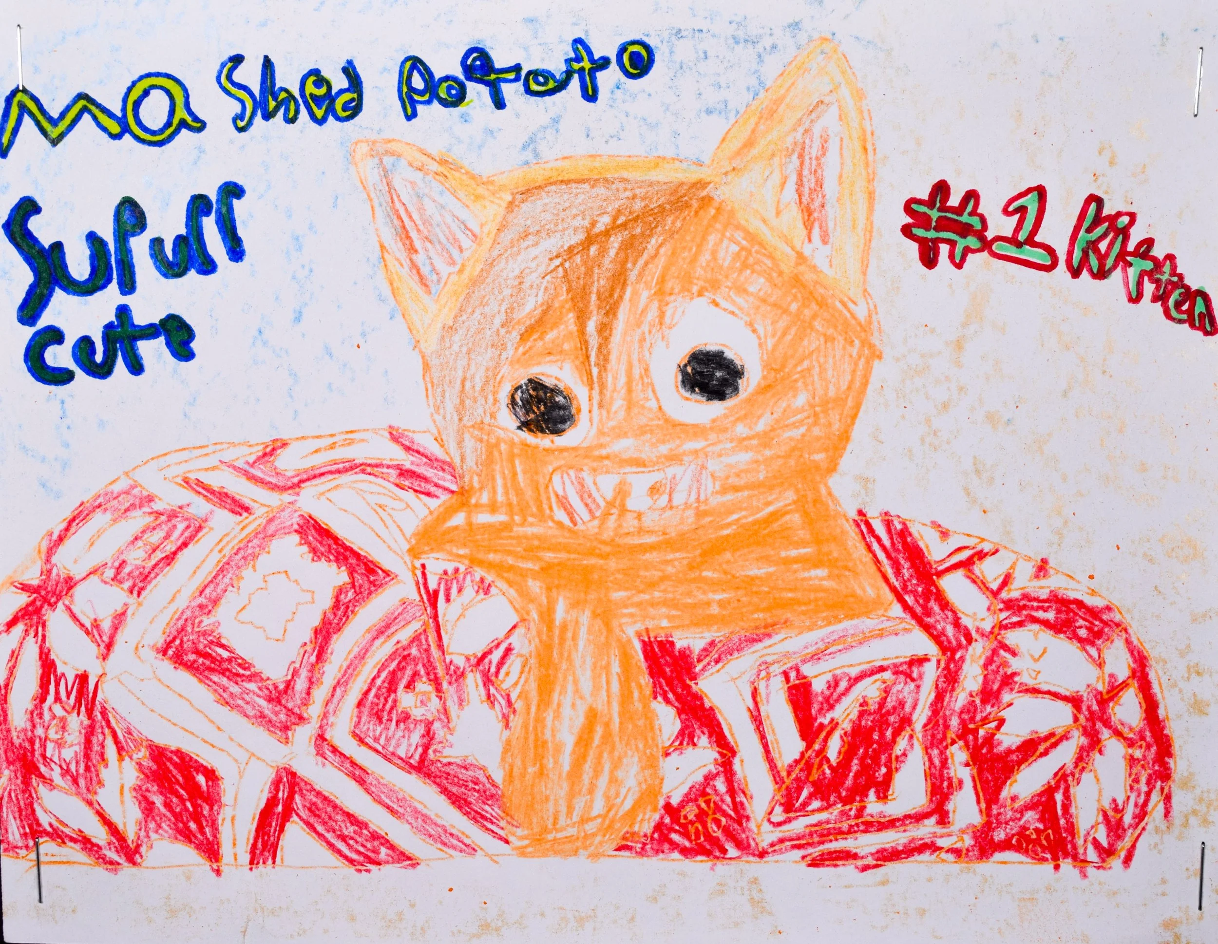 Jude B Robertson-2.jpg