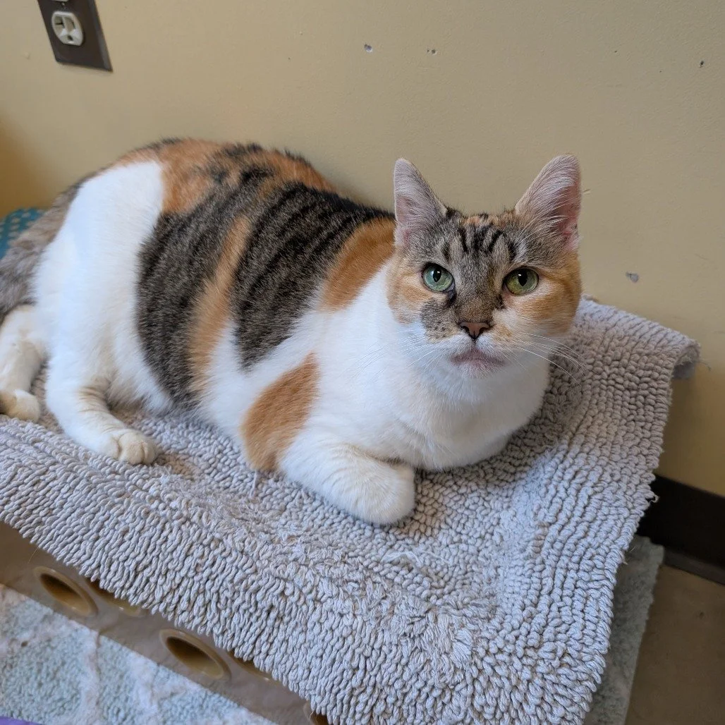 Ethel_Mewman.jpg