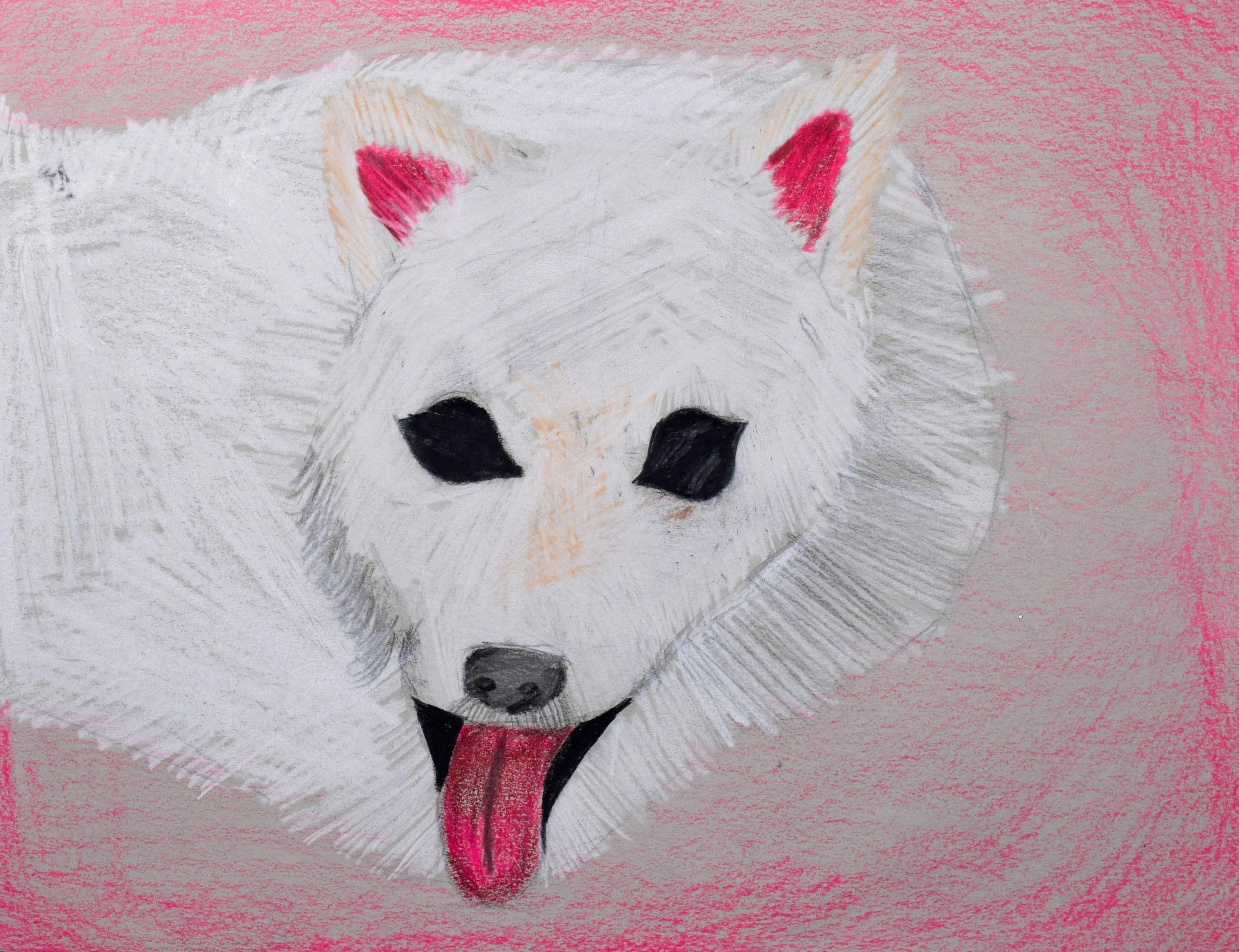 Tanesha K Grace-2.jpg