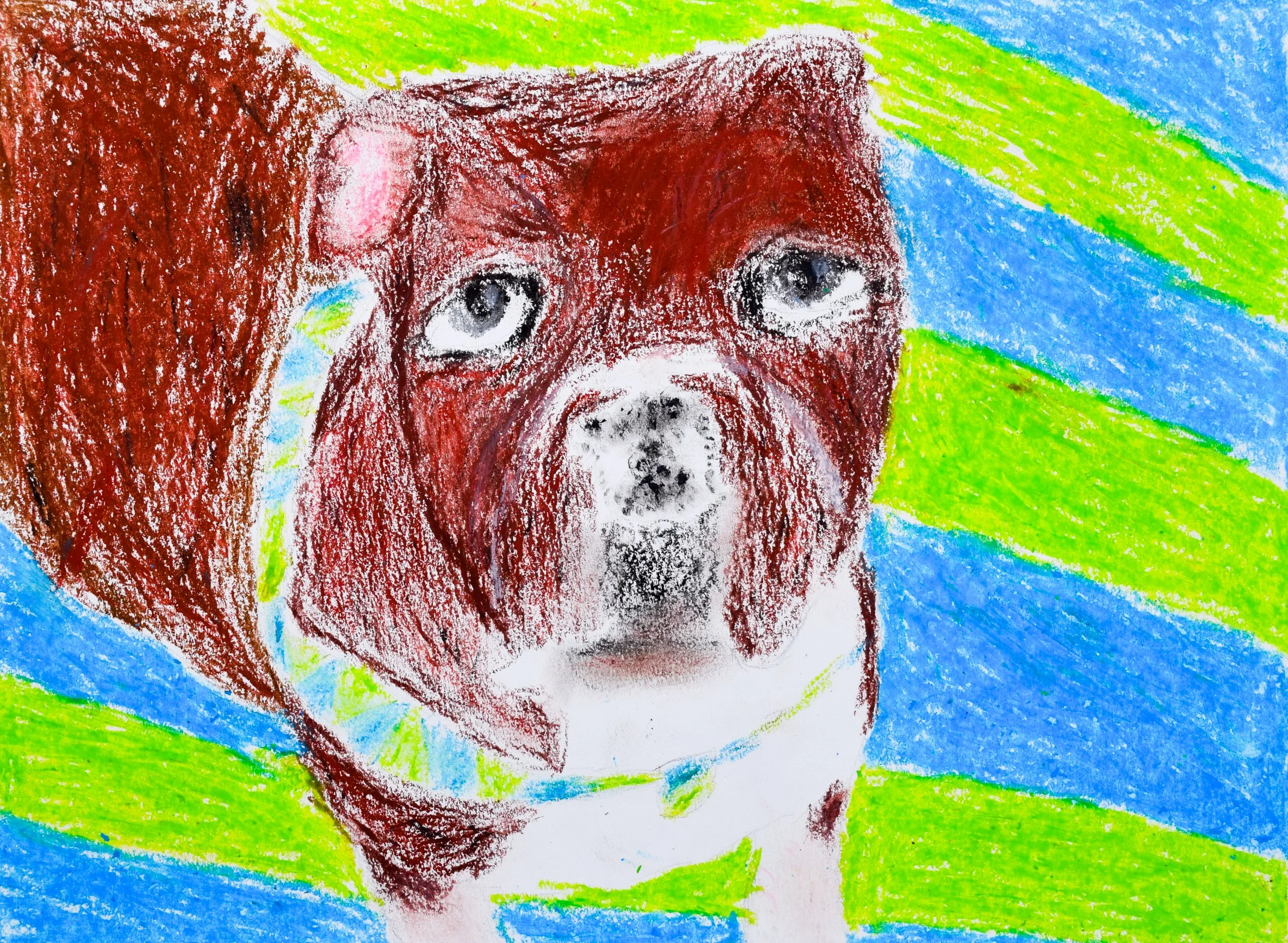 Everett Z Citrano-2.jpg